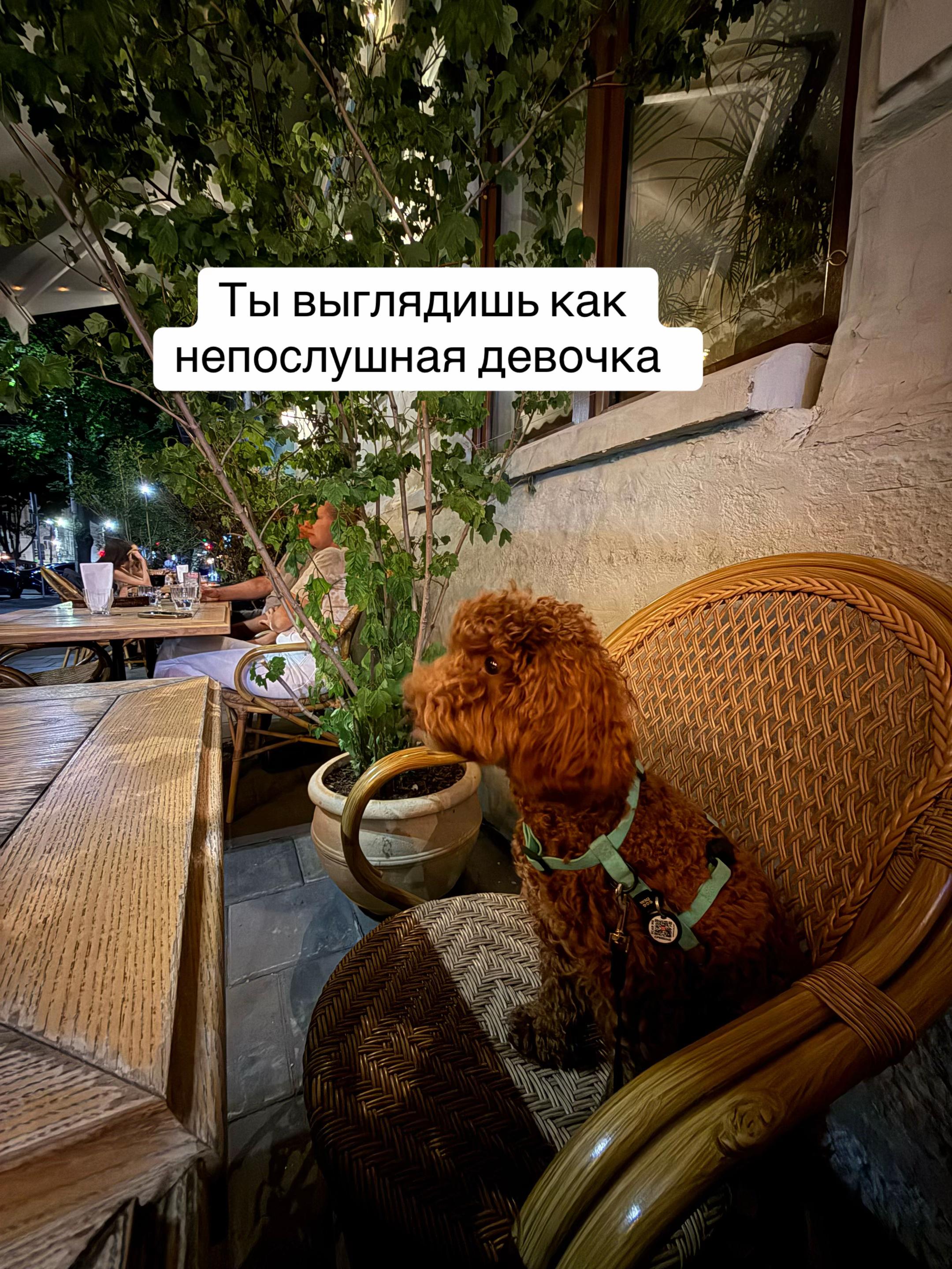 @Диана