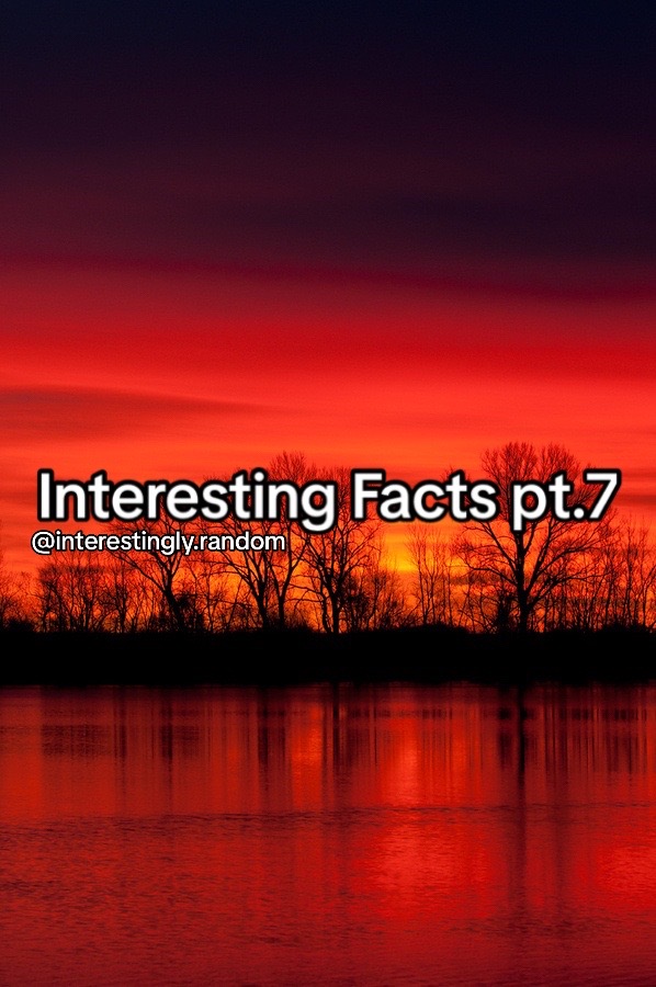 @Interestingly Random