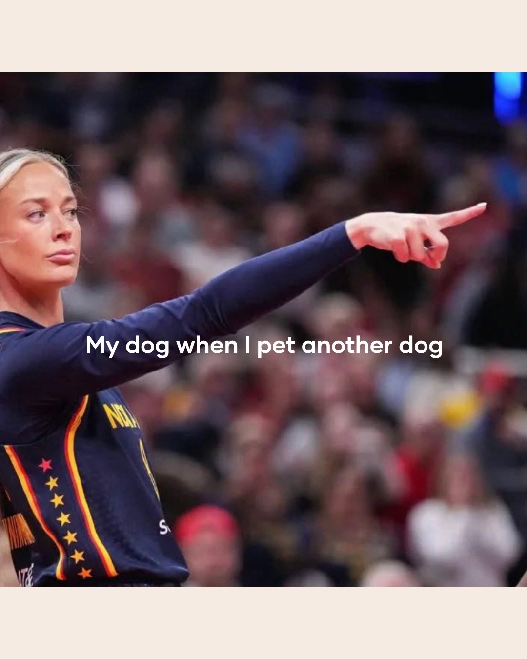 @Pupwell