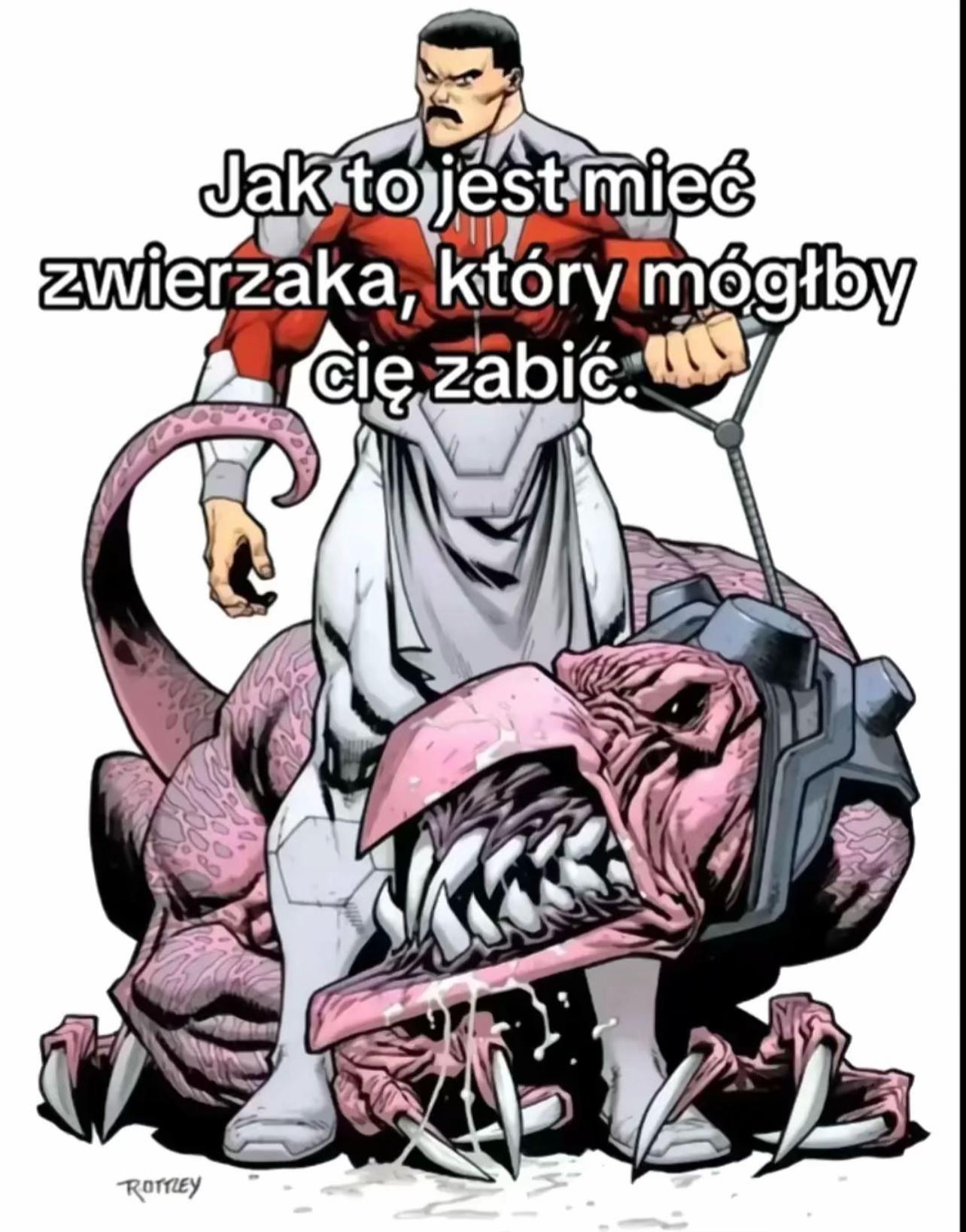 @aniabrunek
