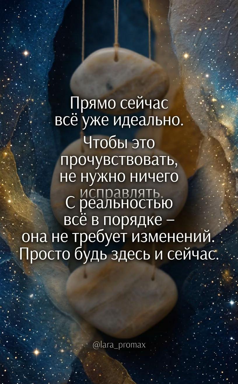 @lara_promax