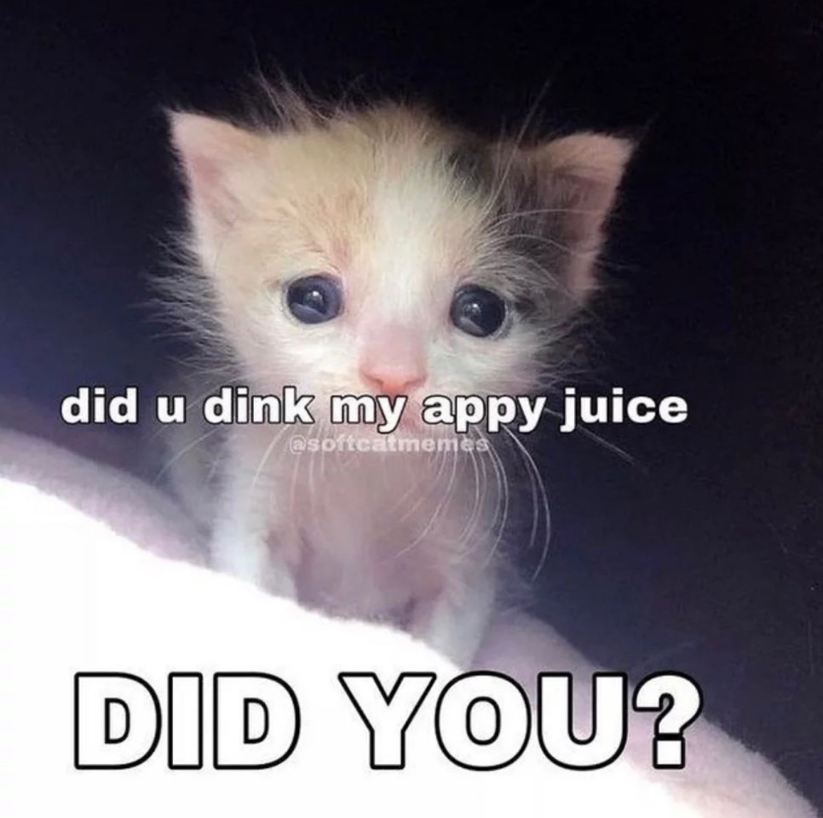 @lex🧸