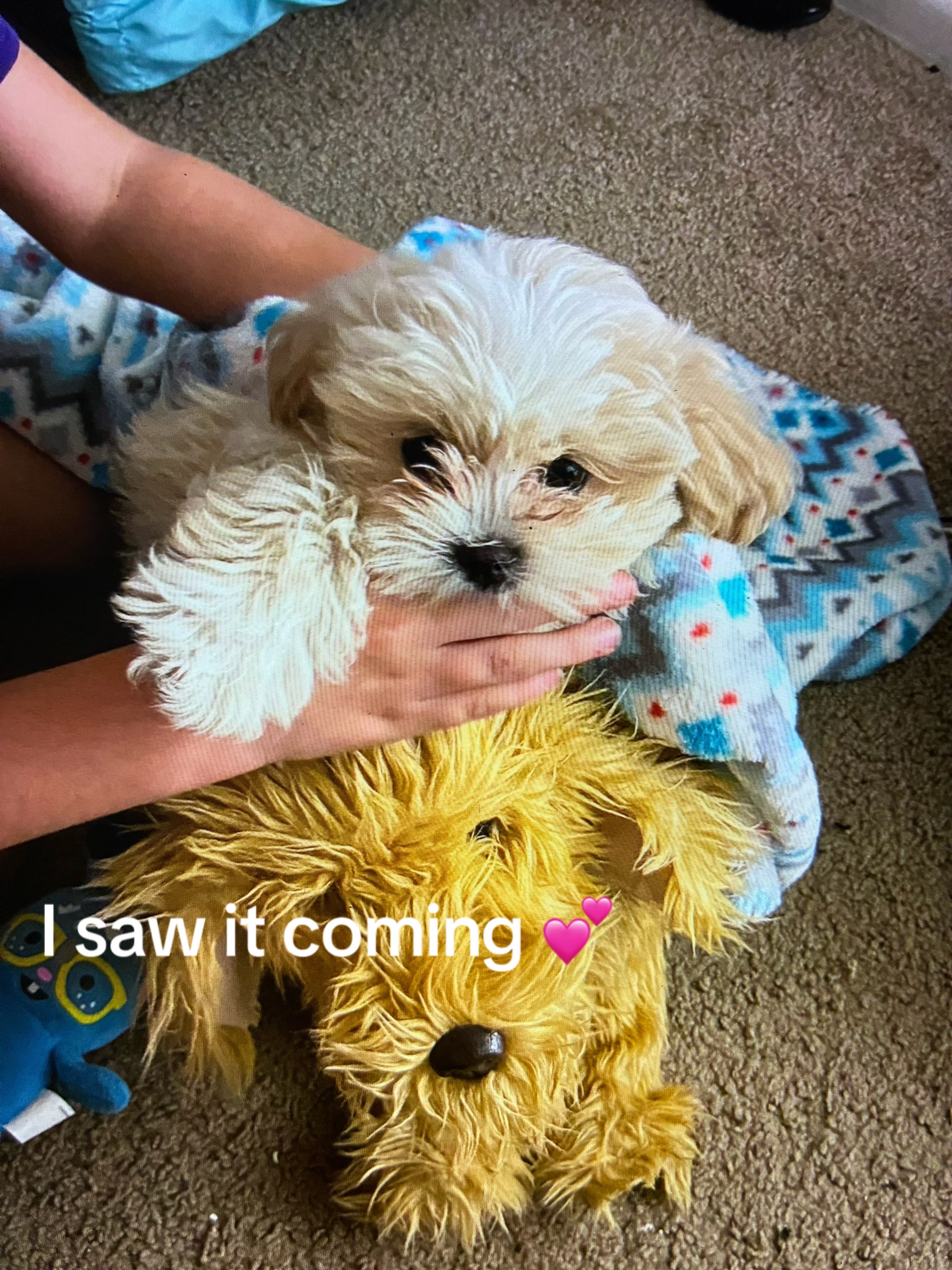 @sophiee2670