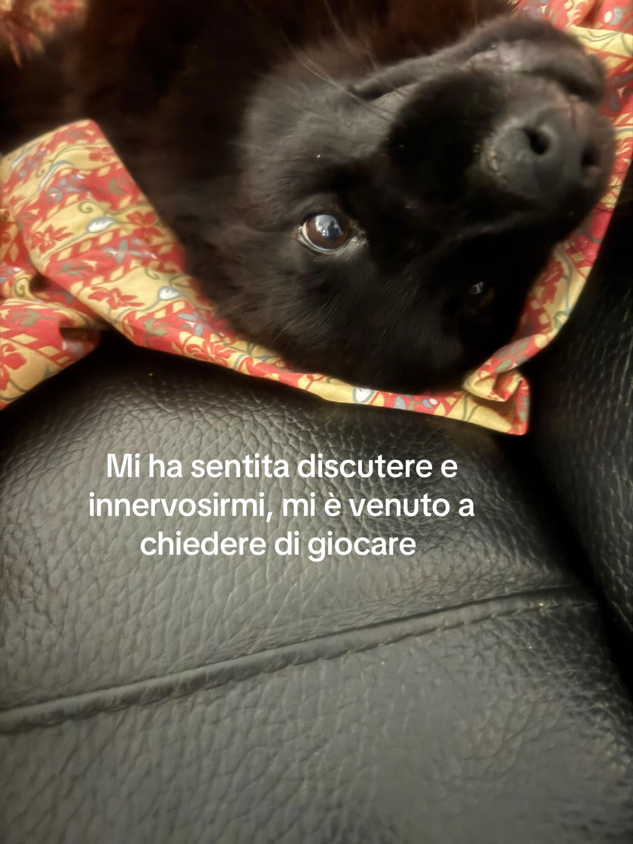 @Ashlin