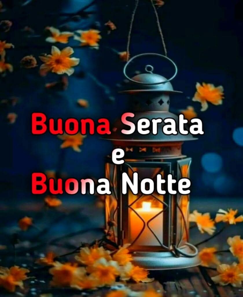 @IL FALCO DELLA NOTTE
