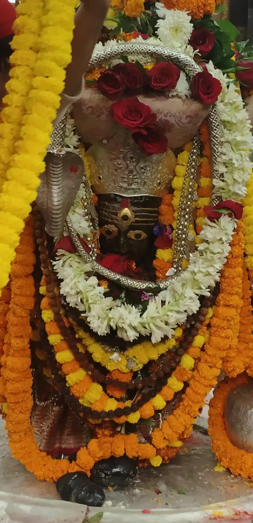 @Renu Mandal845