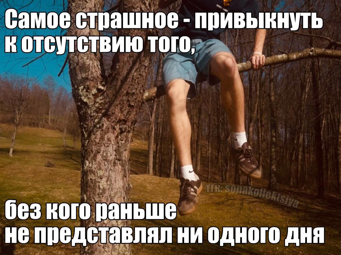 @коллекционер щп