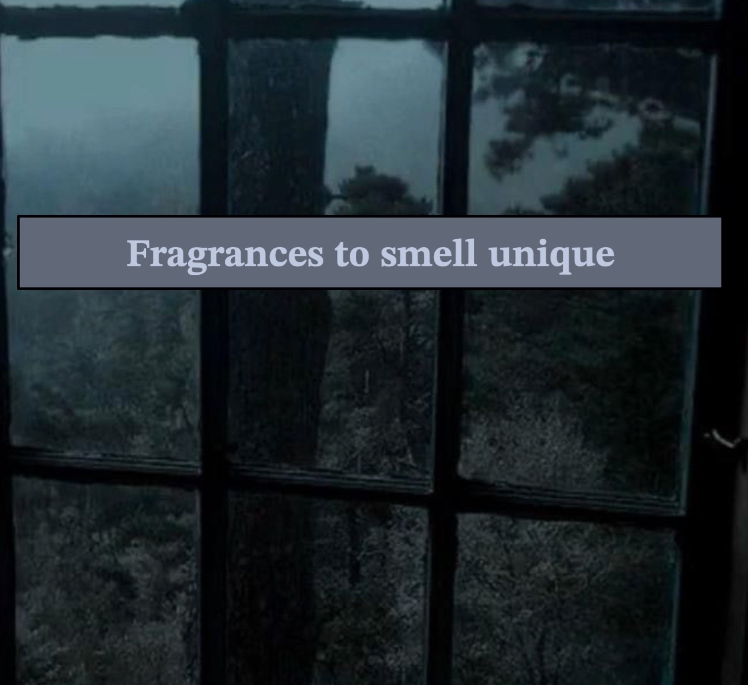 @gardenfragrances