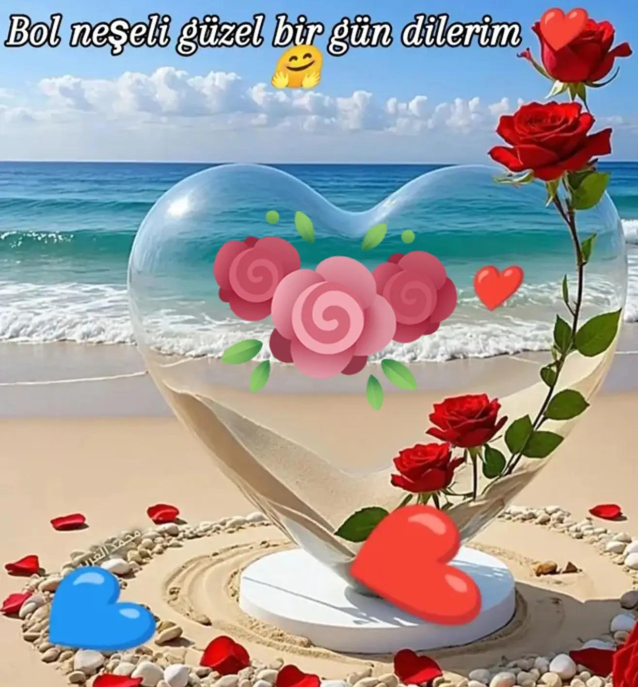 @SULTANIM