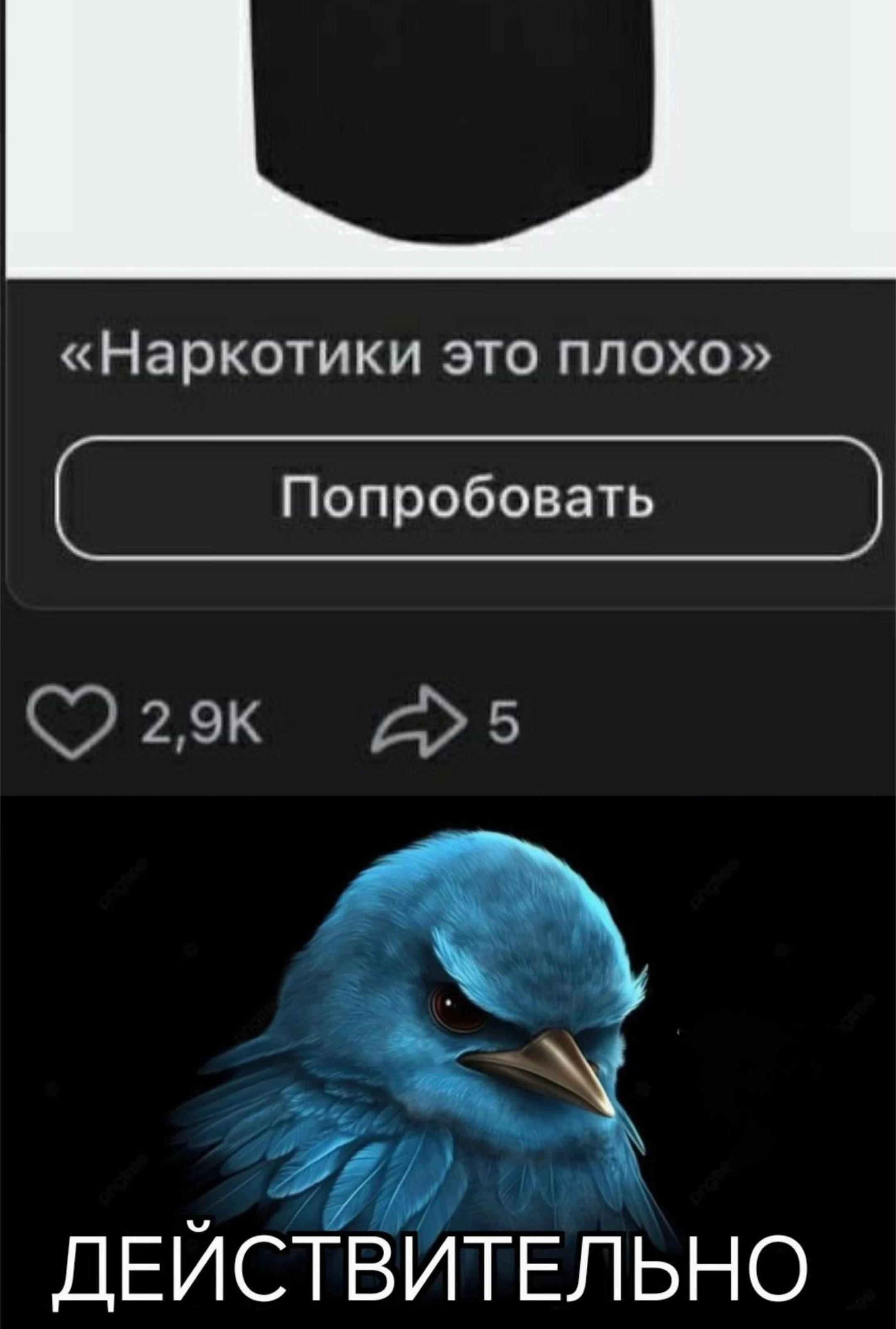 @blindlord.official