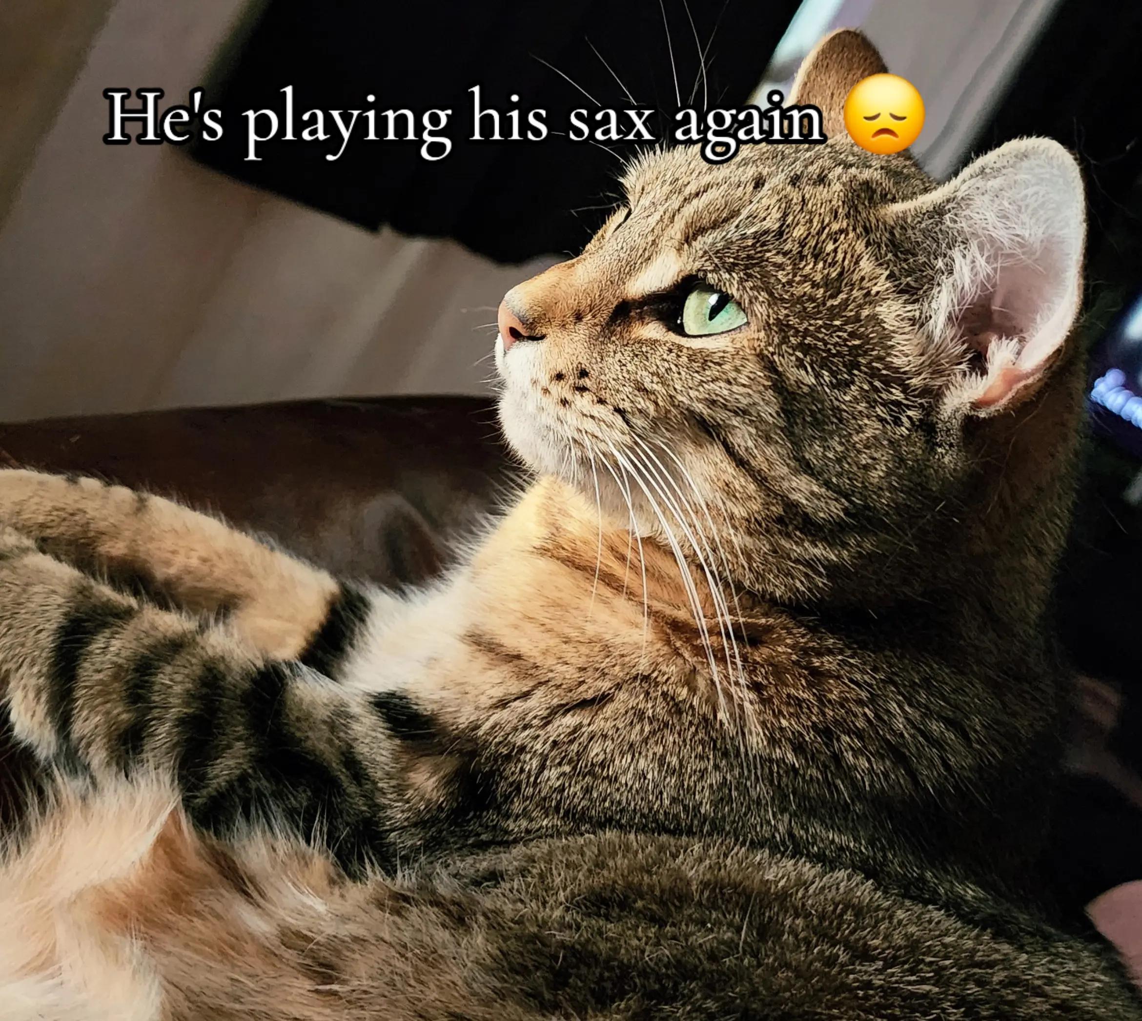 @Atticusvinny