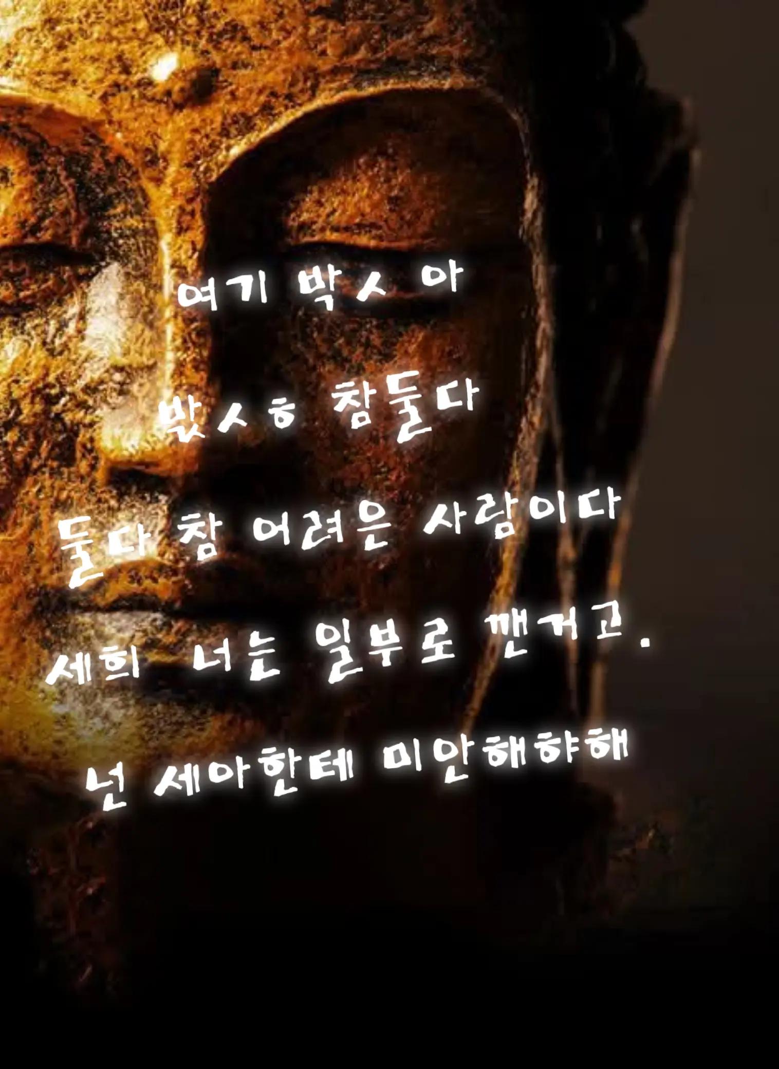 @@냥이글