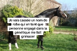 @✨.Chloe Ponycraft.✨