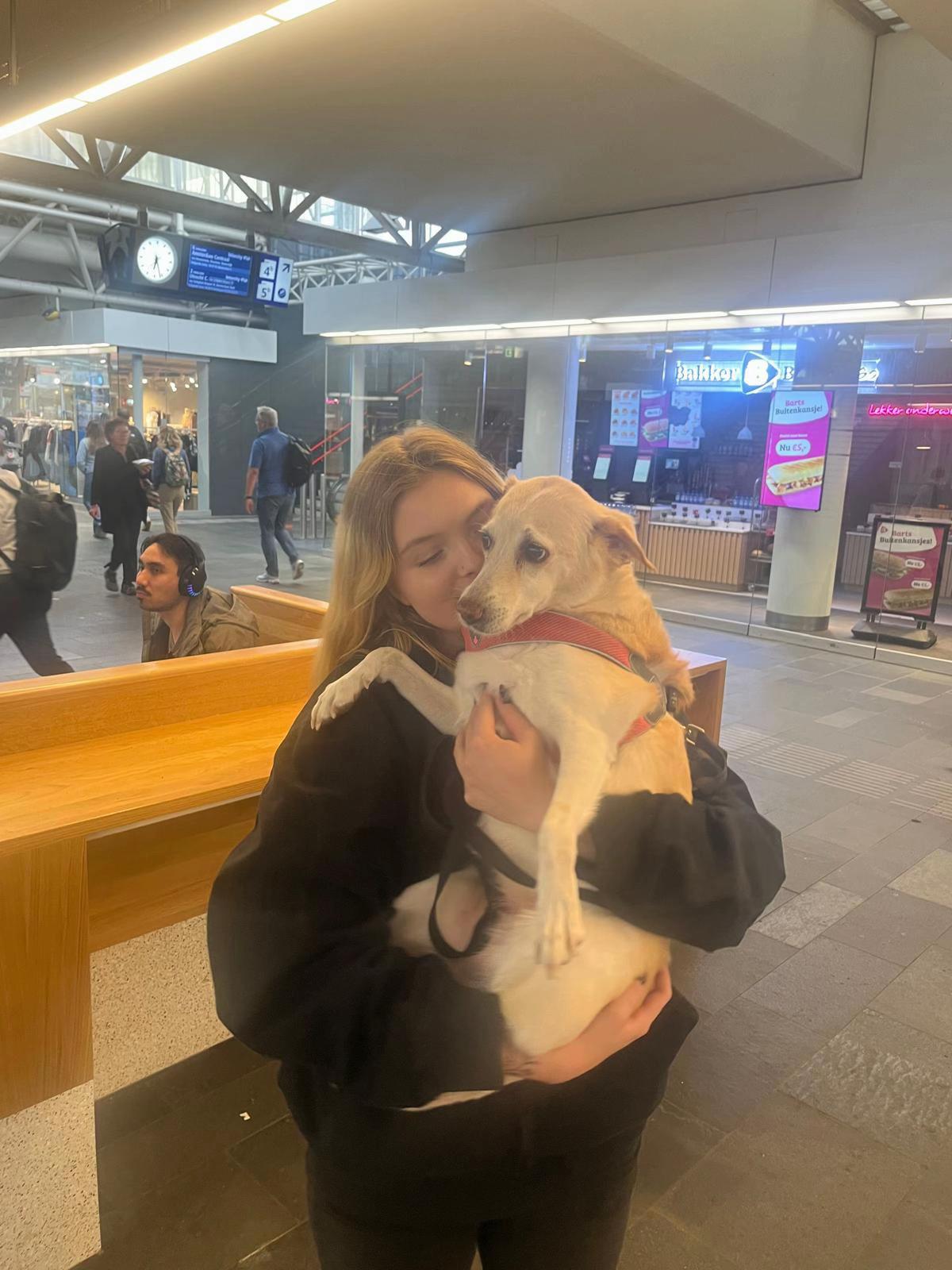@ivy