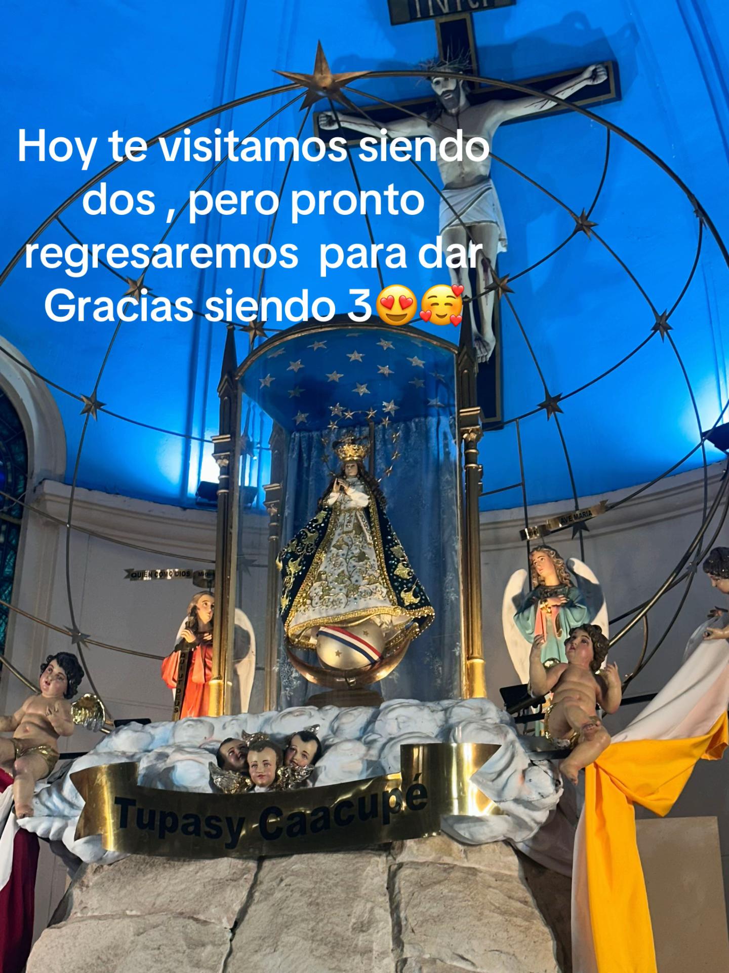 @aracelibarreto61