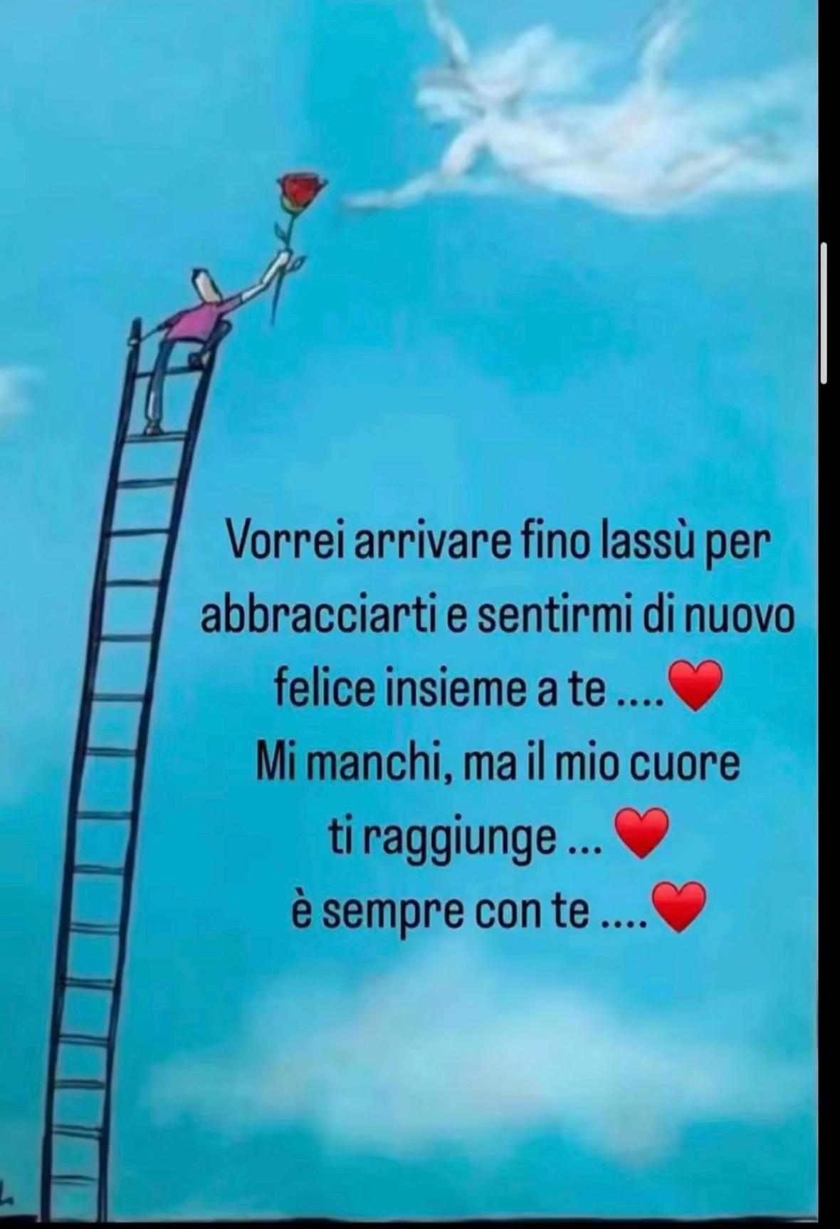 @Fede_Fine_17