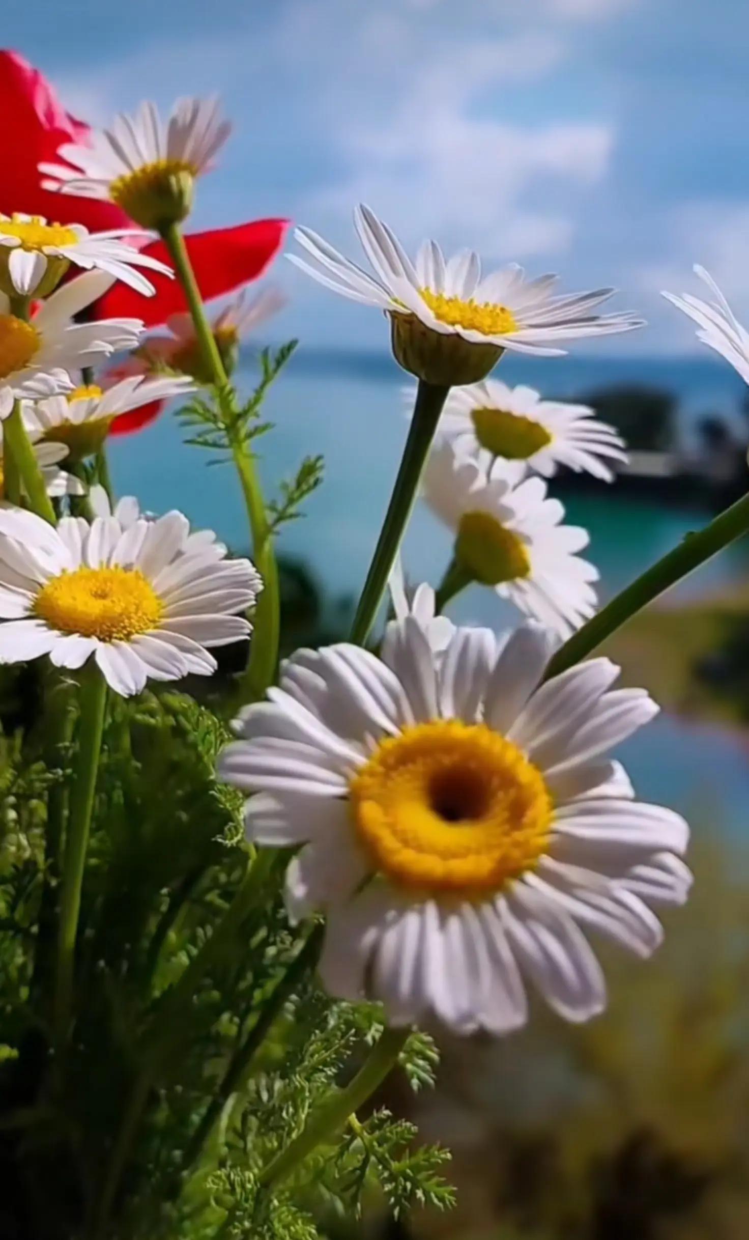 @Merve zbay7