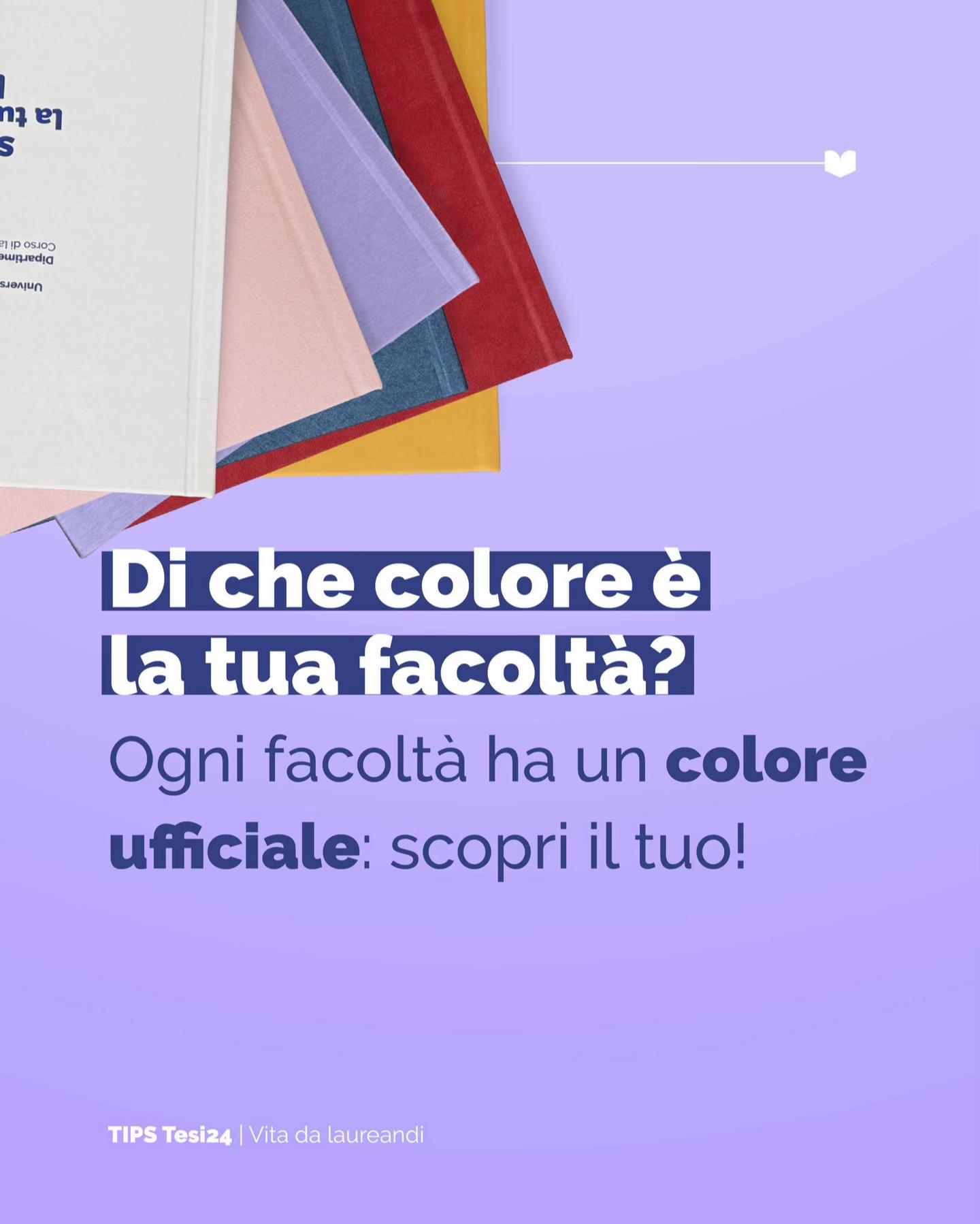 @Tesi24