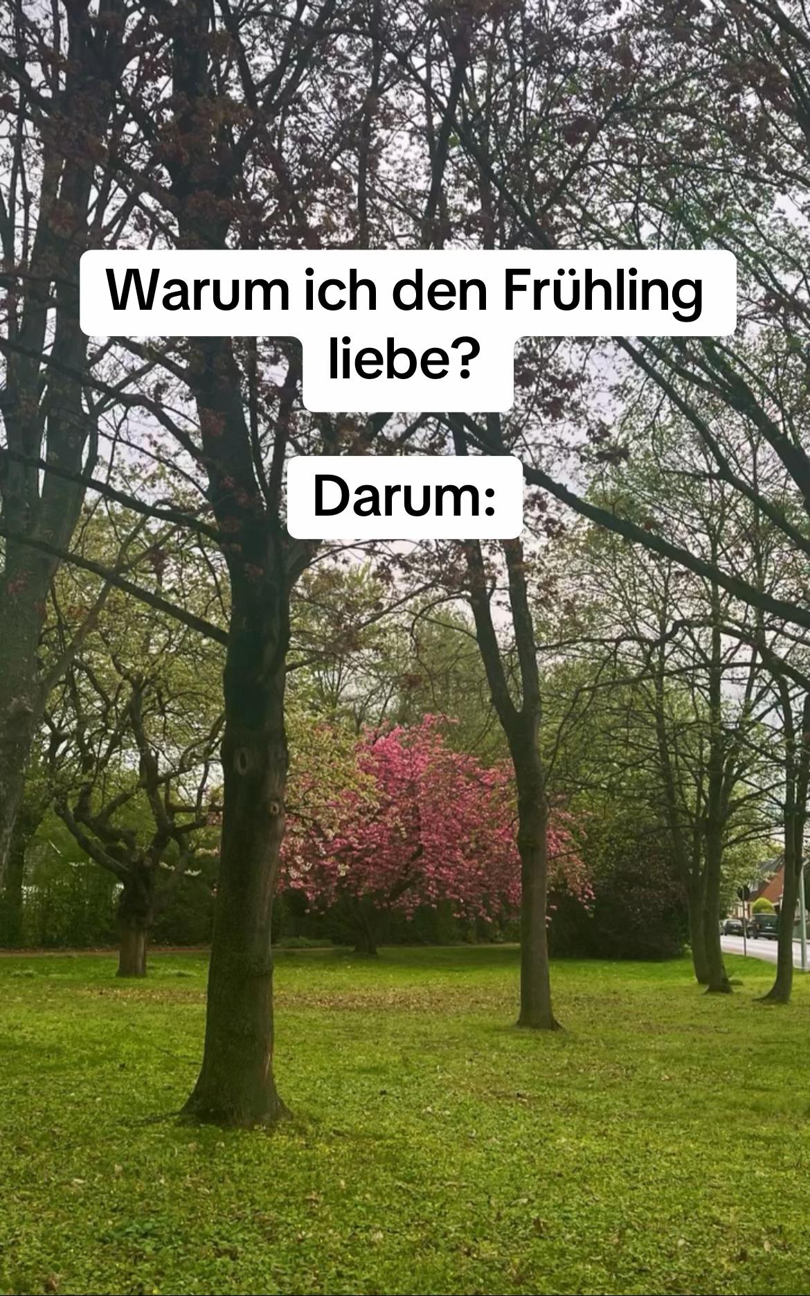 @S🌹