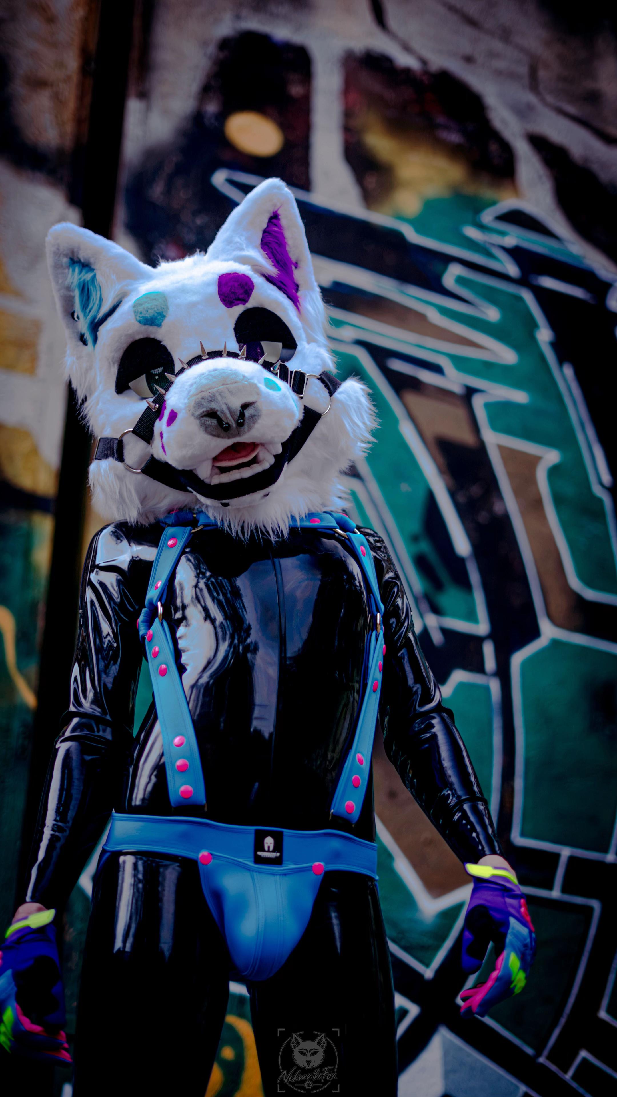@✨Nekura the Fox✨