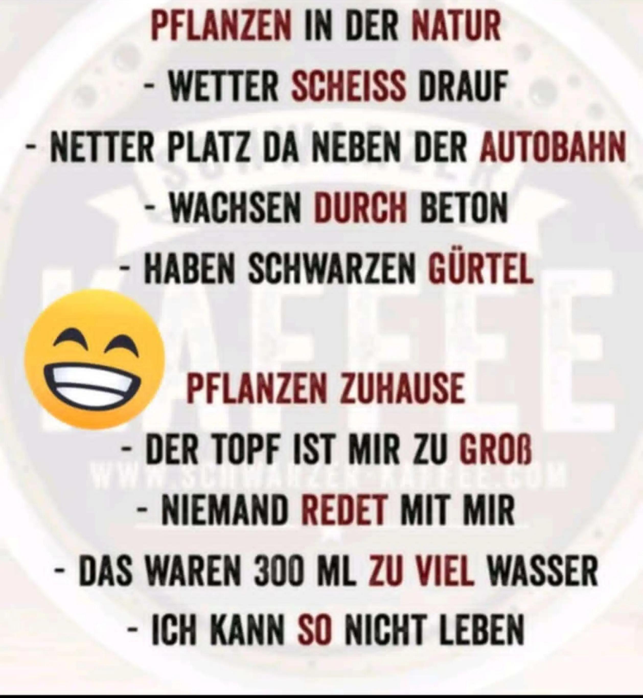 @Ruhepohl 🙏🏻🤪
