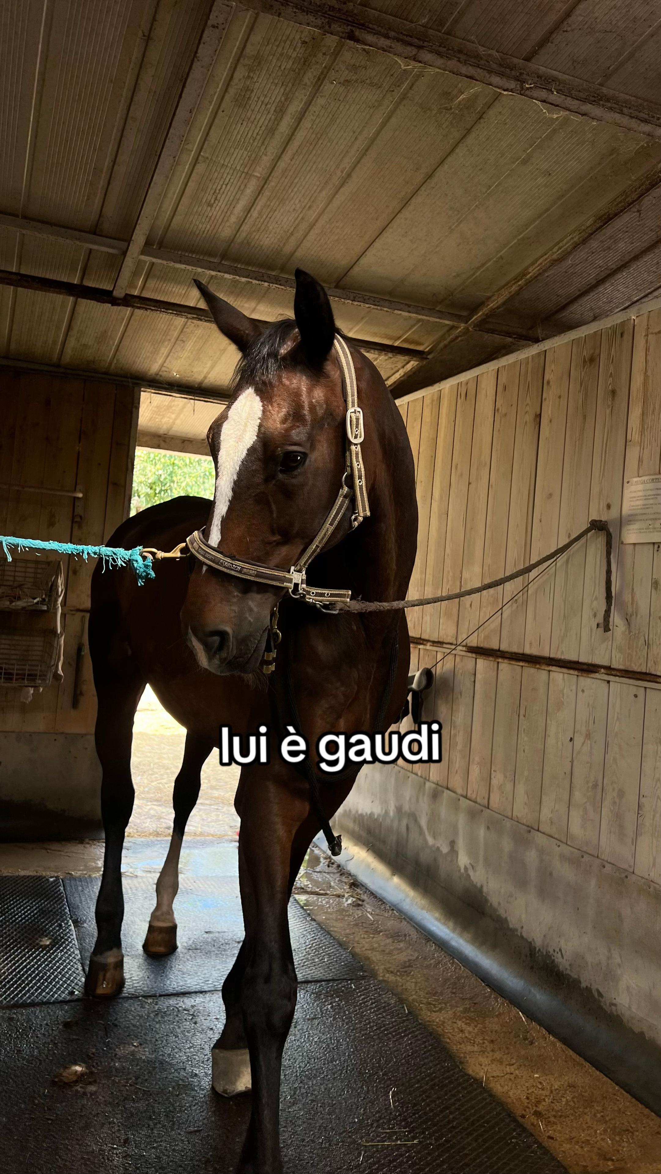 @giuli⭐️