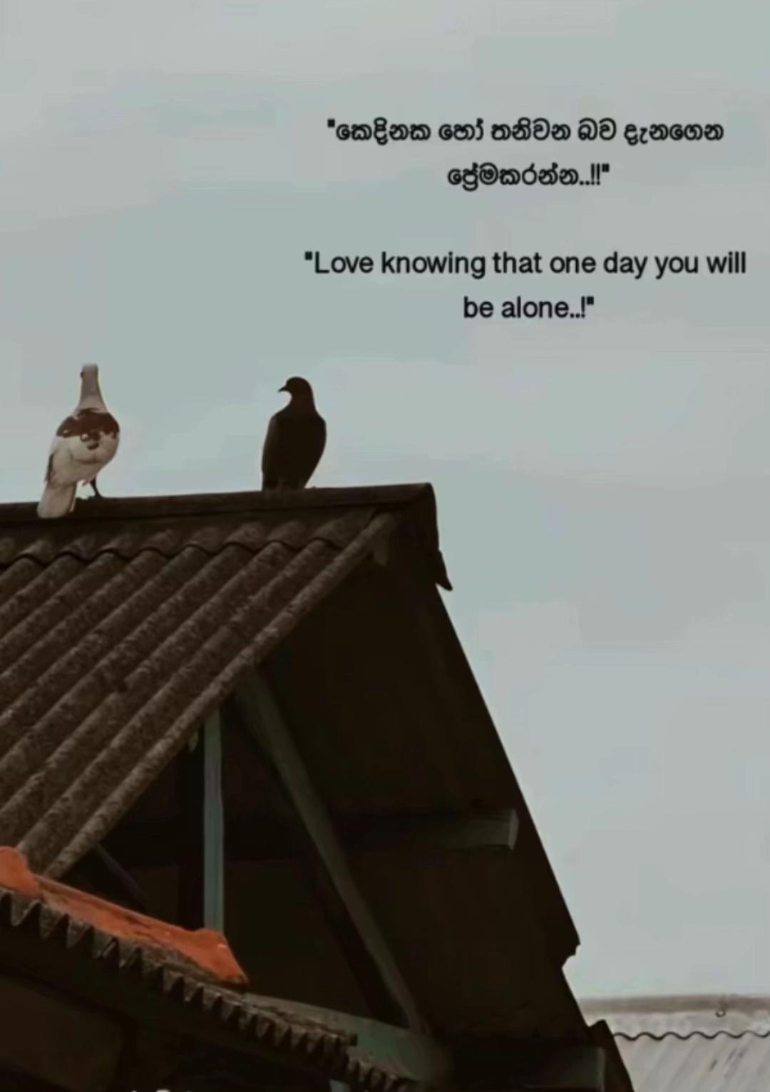@🎀 𝓣𝓲𝓷𝓴𝓮𝓻𝓫𝓮𝓵𝓵 🧚♀️