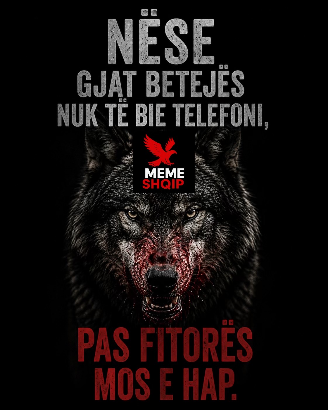 @Meme Shqip