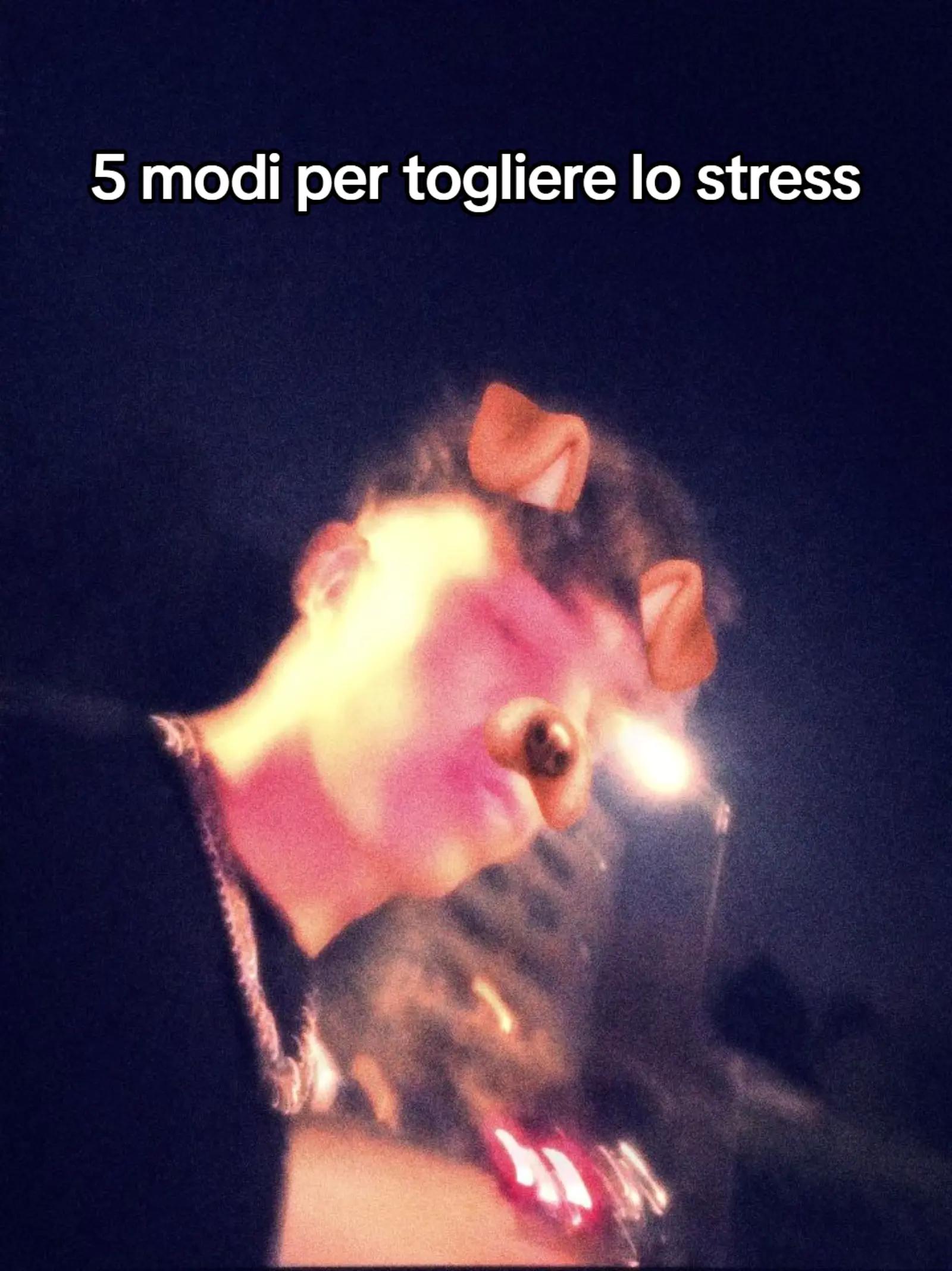 @spamachillxxx