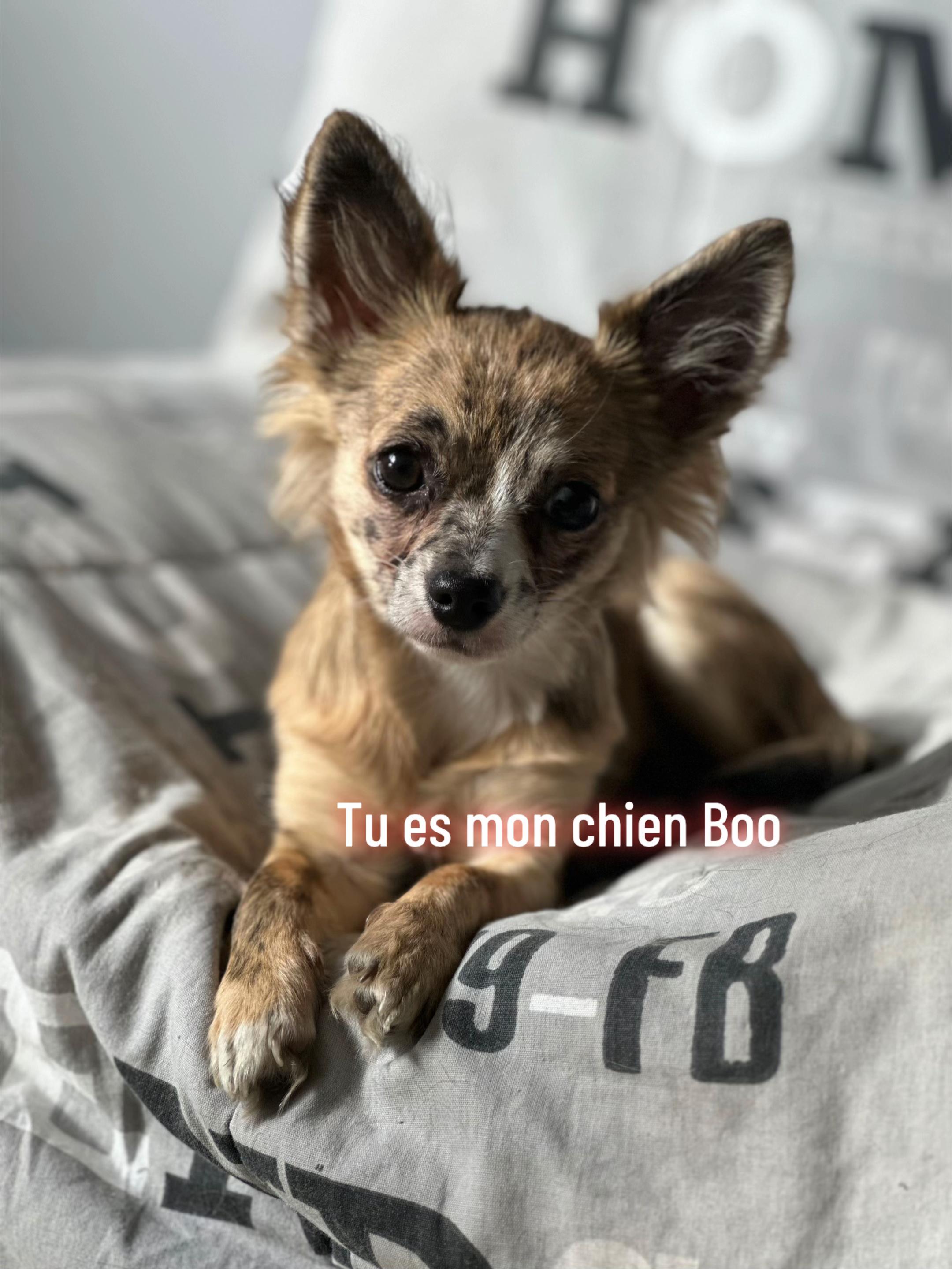 @Louloutte 🧚♀️