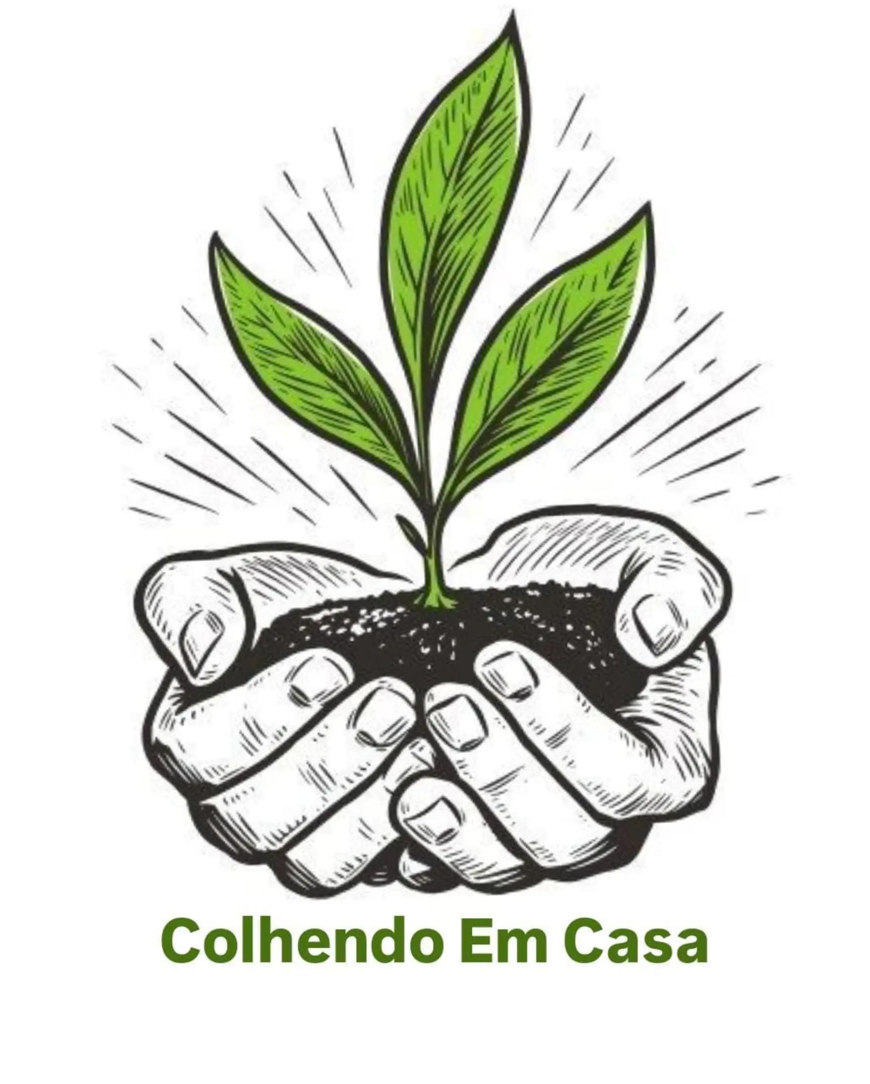 @Colhendo em Casa