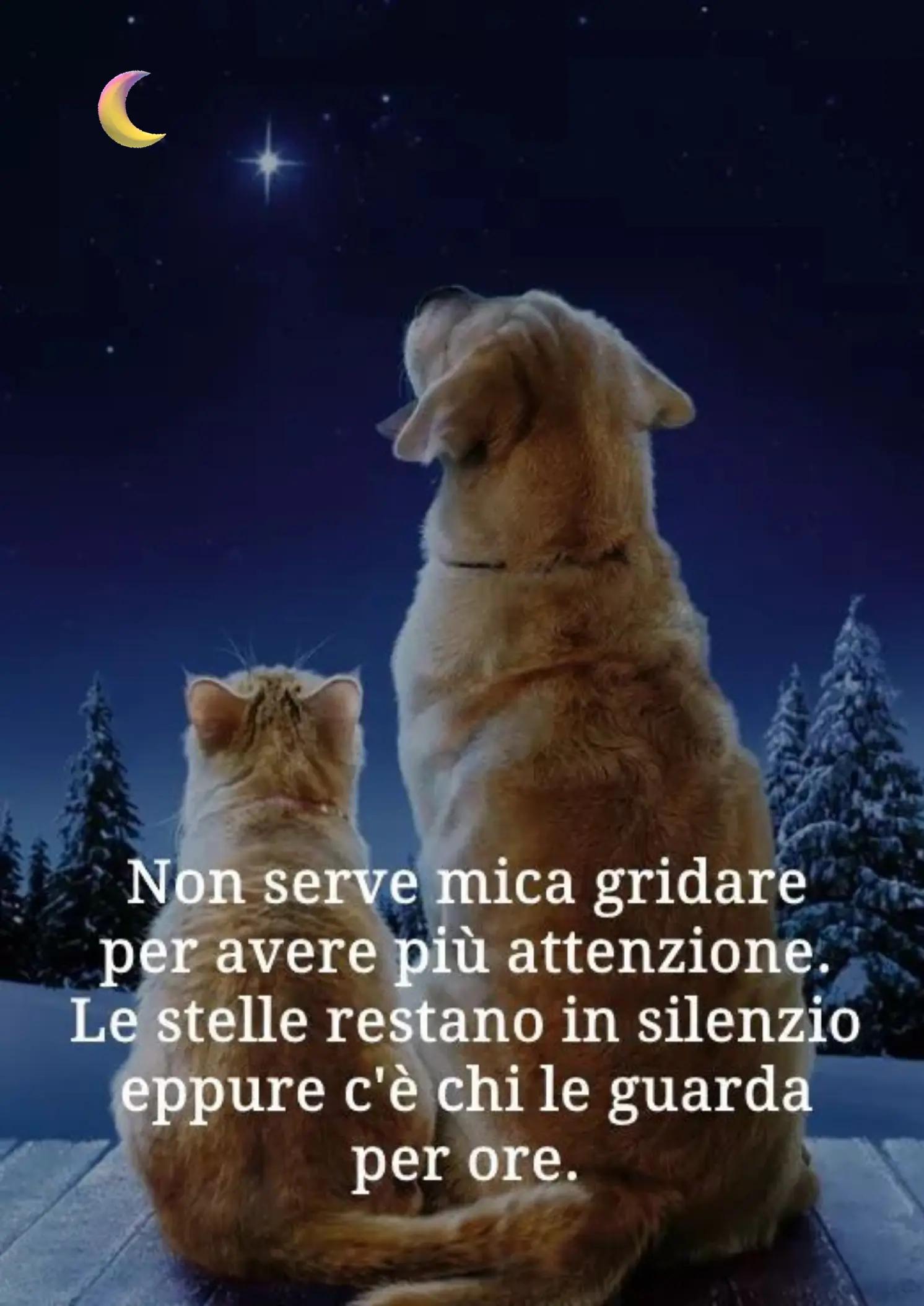 @Civi