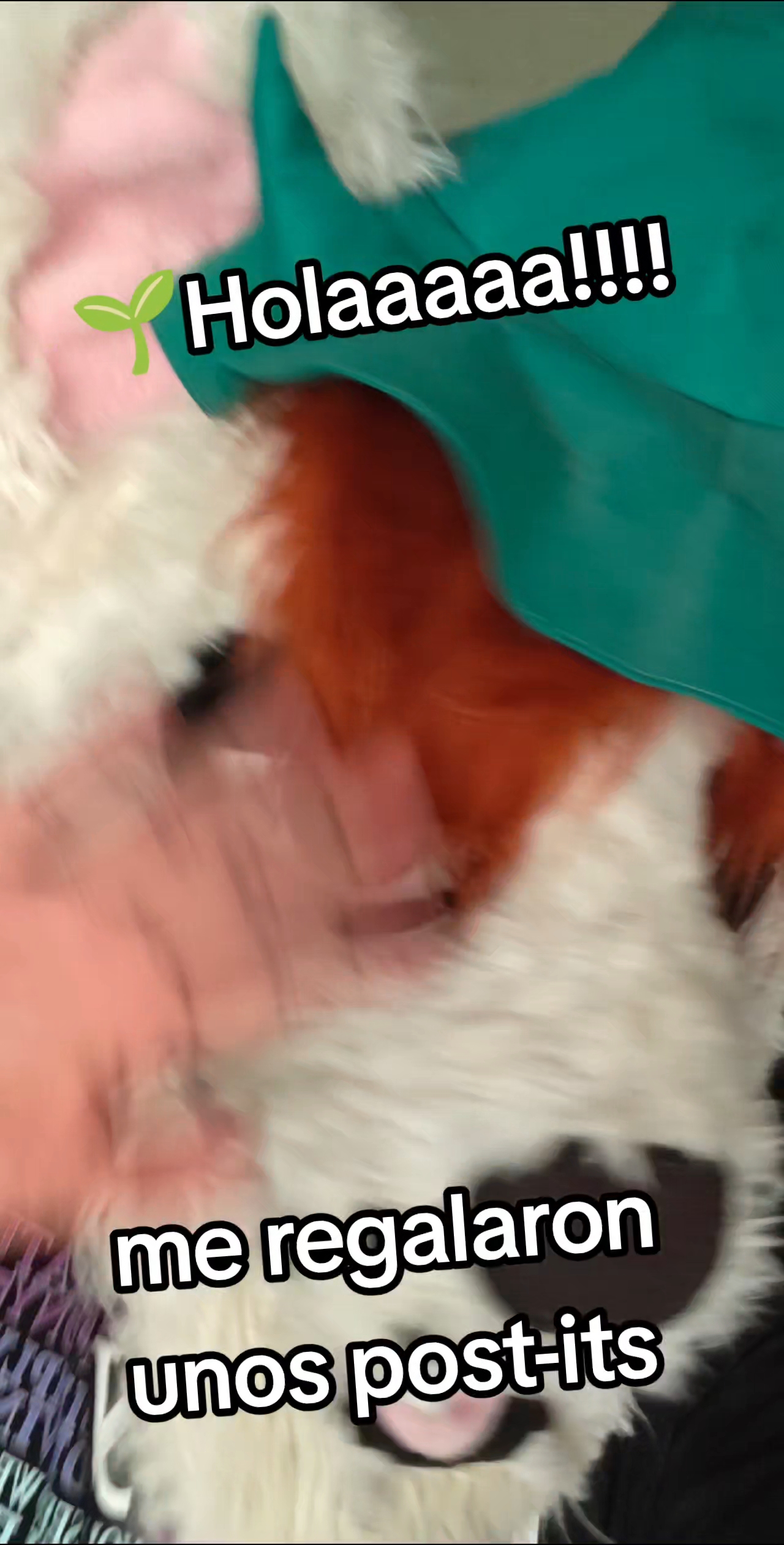 @Yabuko