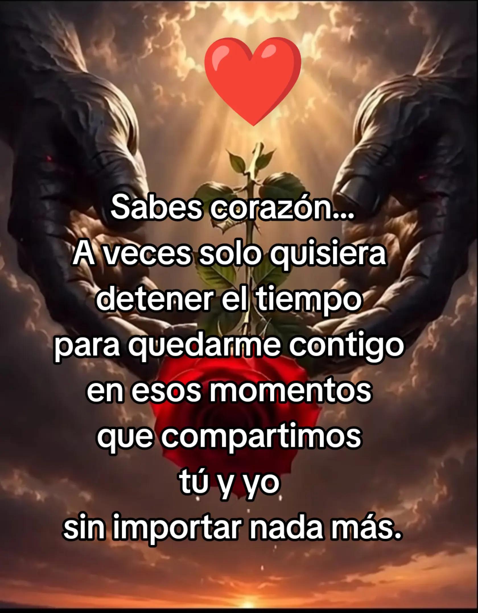 @Rafael V.J.(Lobito)