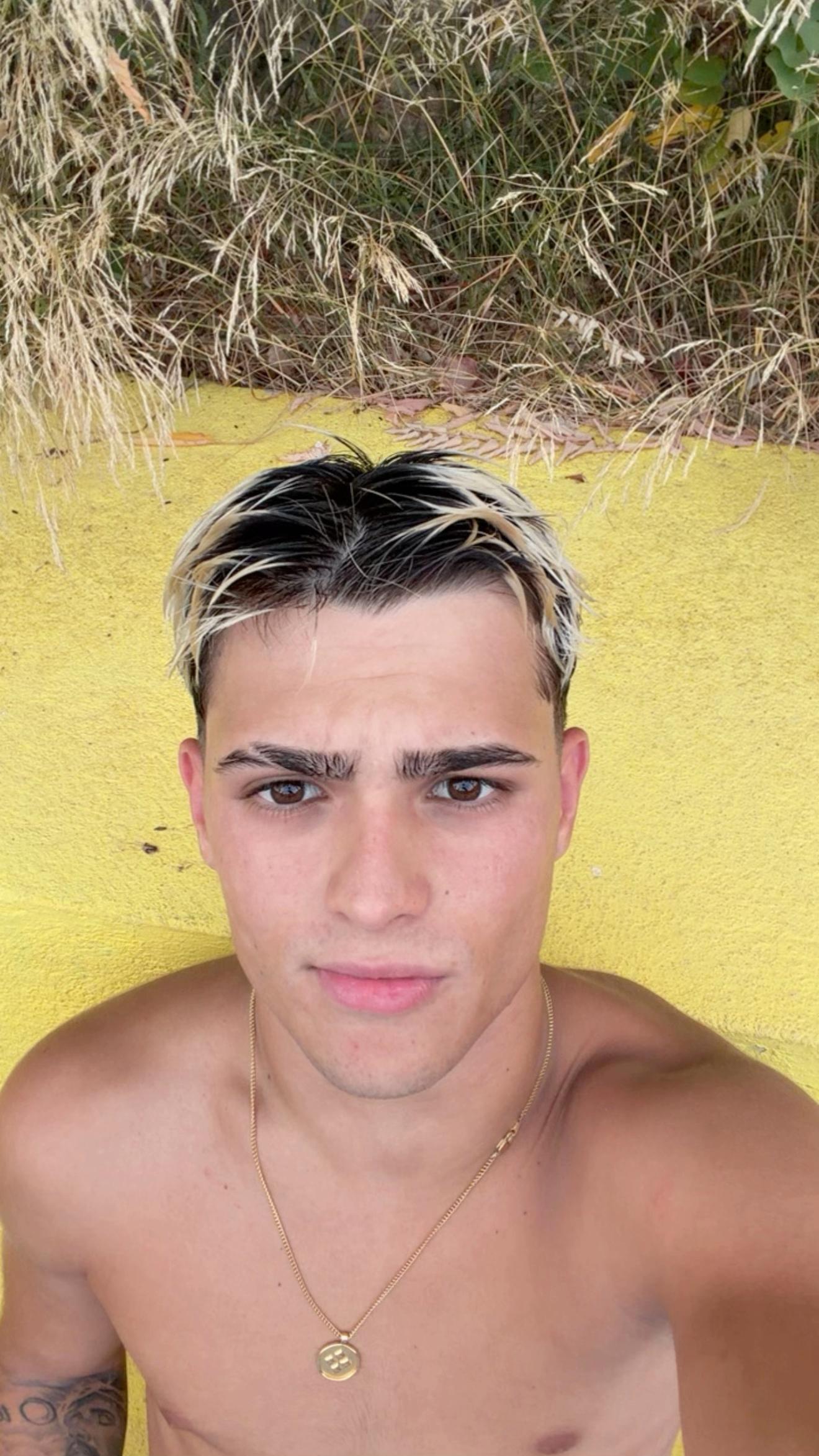 @alenvicente