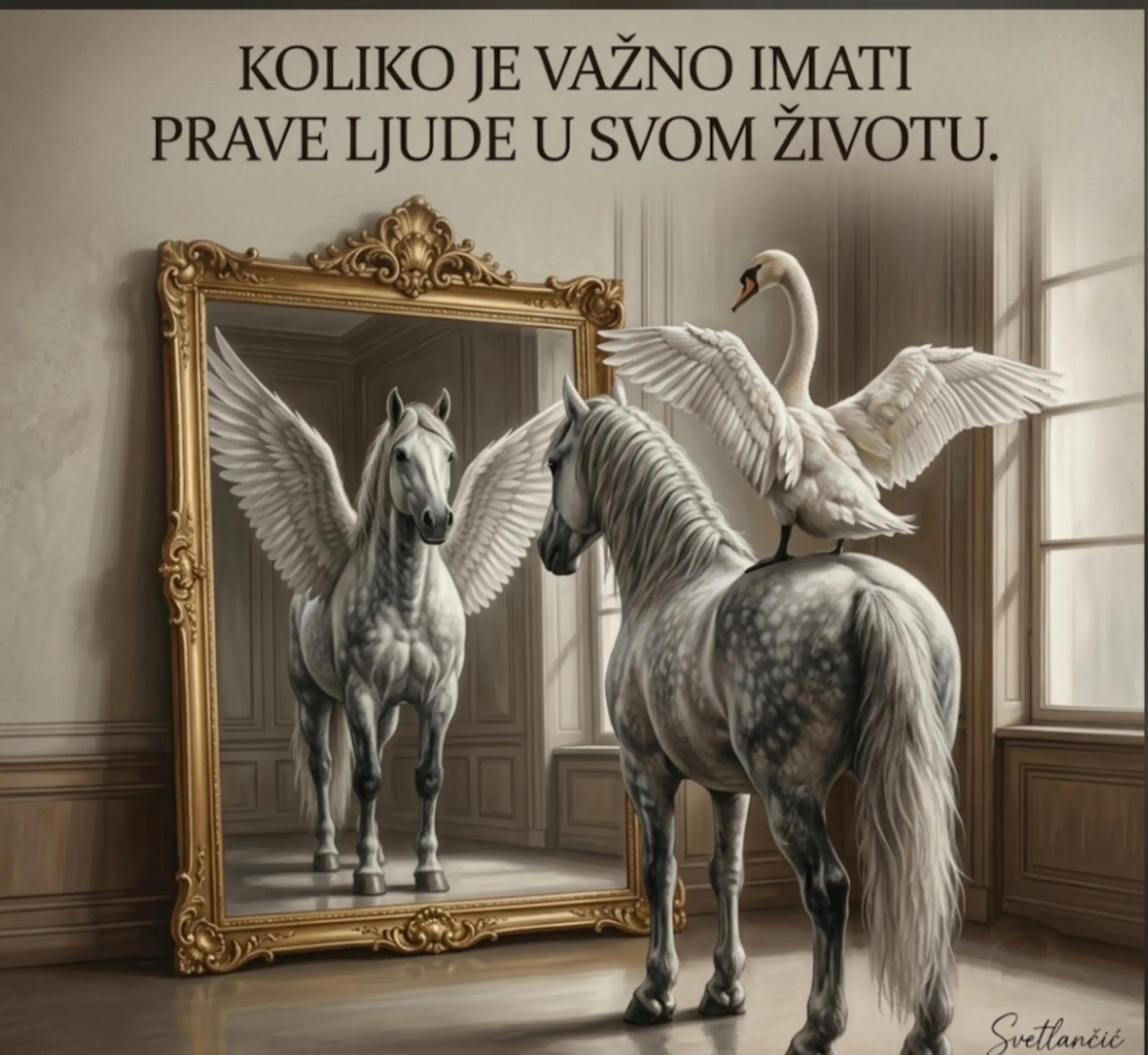 @SVETLANCIC Edukativni S