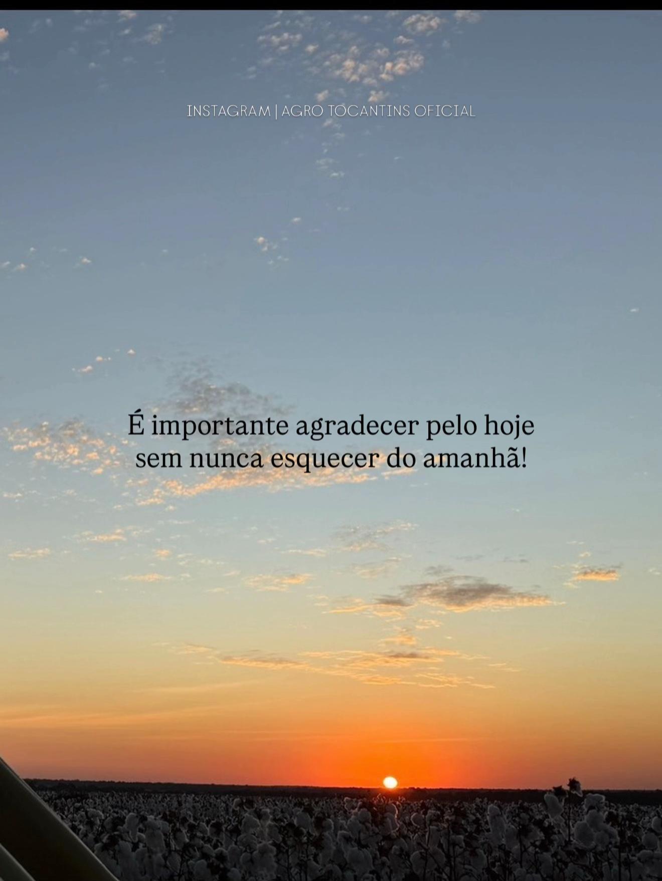 @Agro Tocantins Oficial🇧🇷