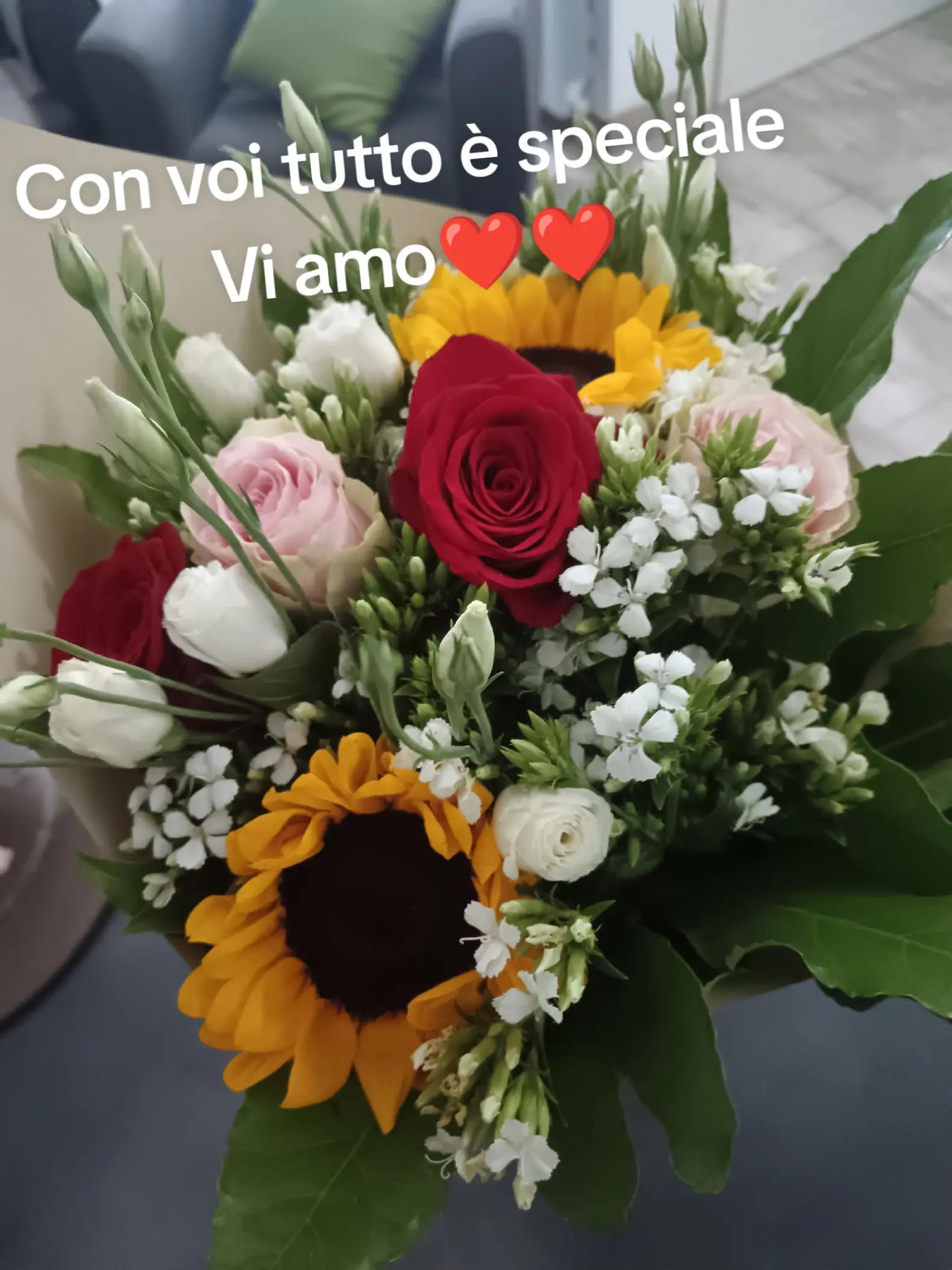 @Soleeluna.82