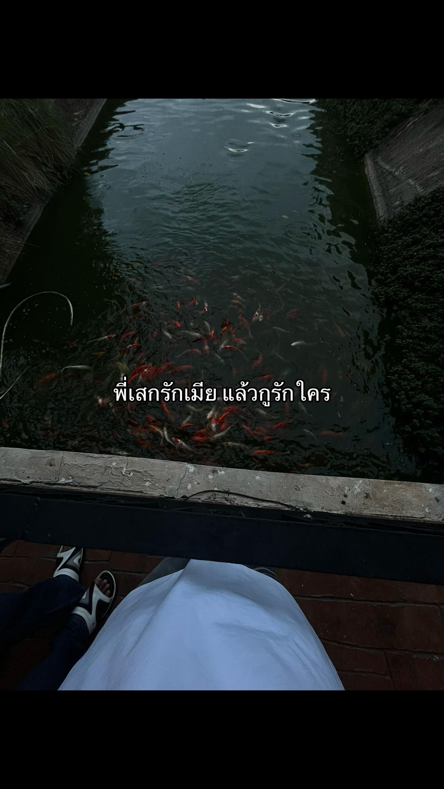 @เธรดของไอขิง 