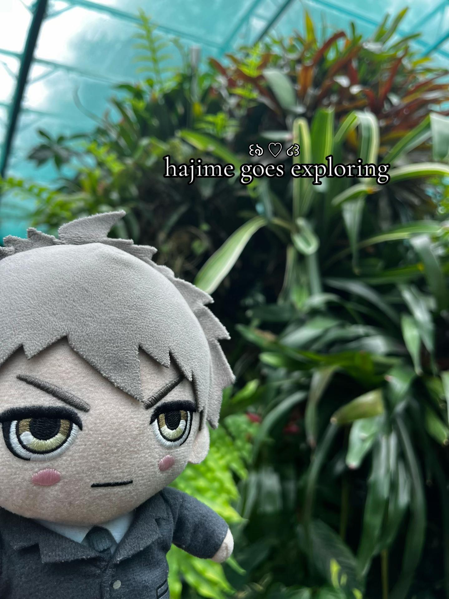 @꒰ঌ gєorgiє ♡’s hajimє ໒꒱