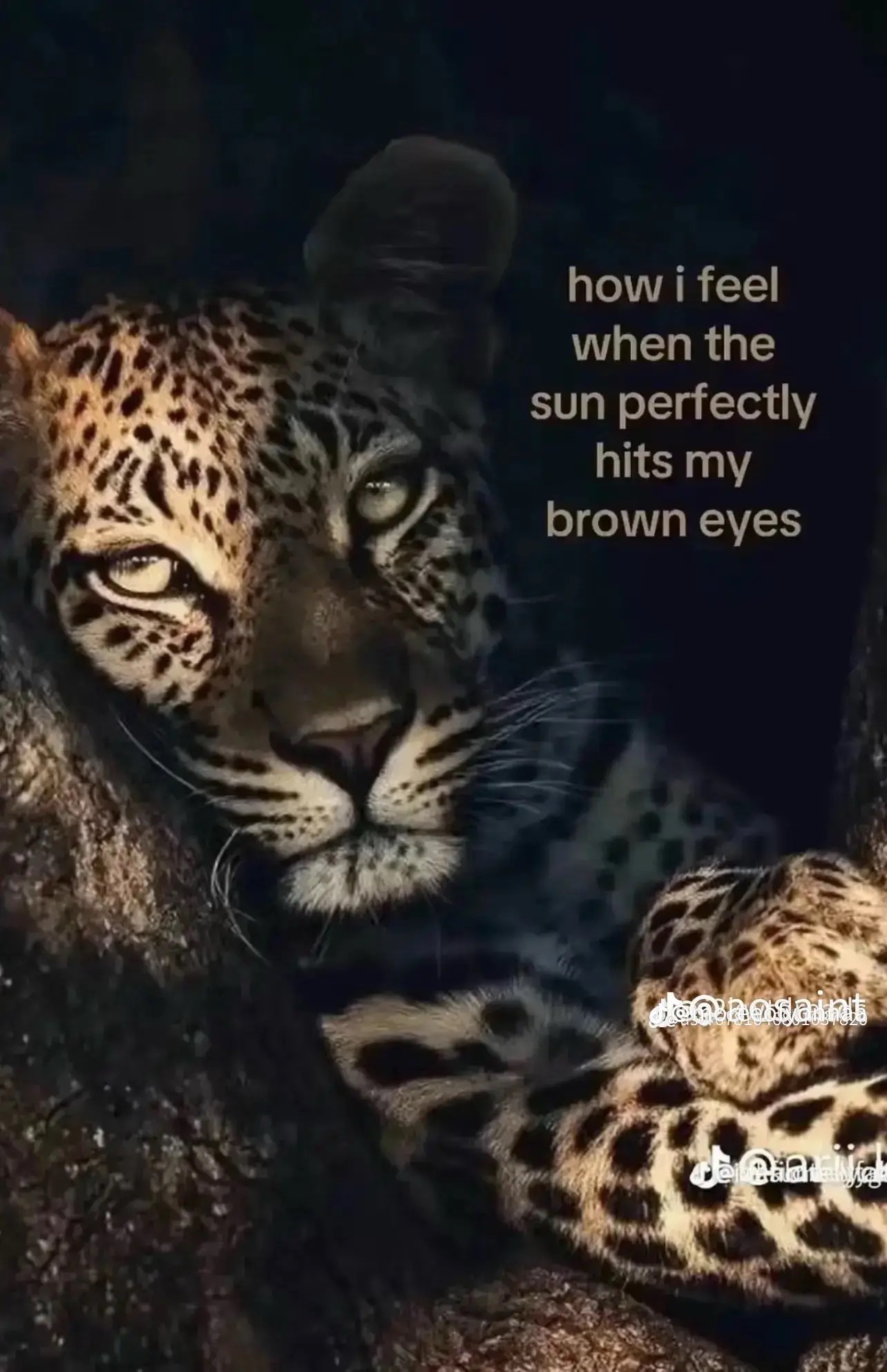 @🦴💚🤑𝓜𝓲𝓵𝓴𝓜𝓪𝓻𝓲𝓮𝓮☺️🌊