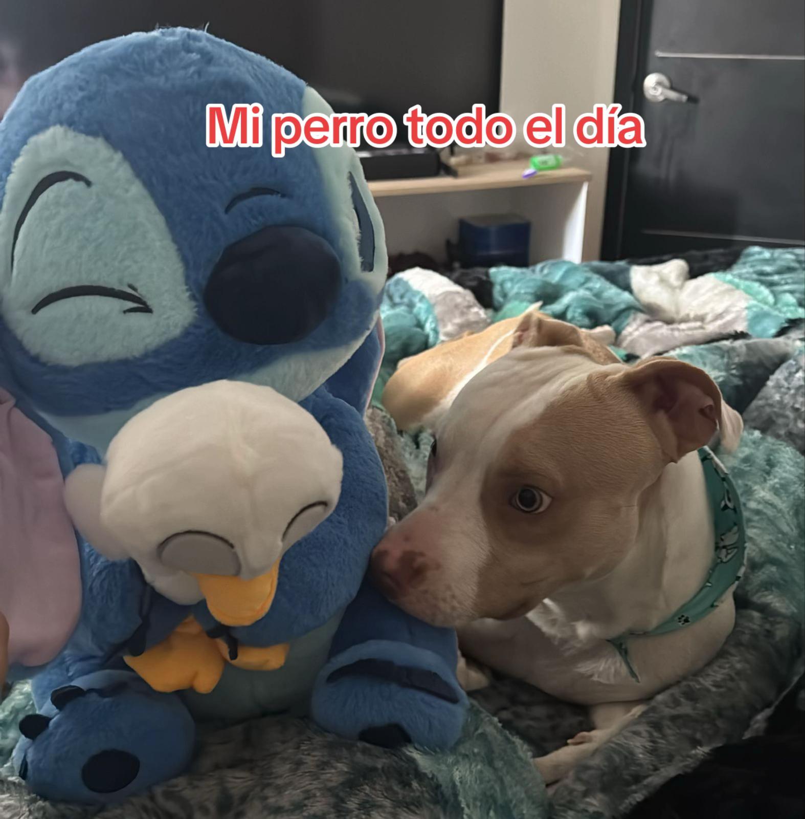 @juan2ebastianmena