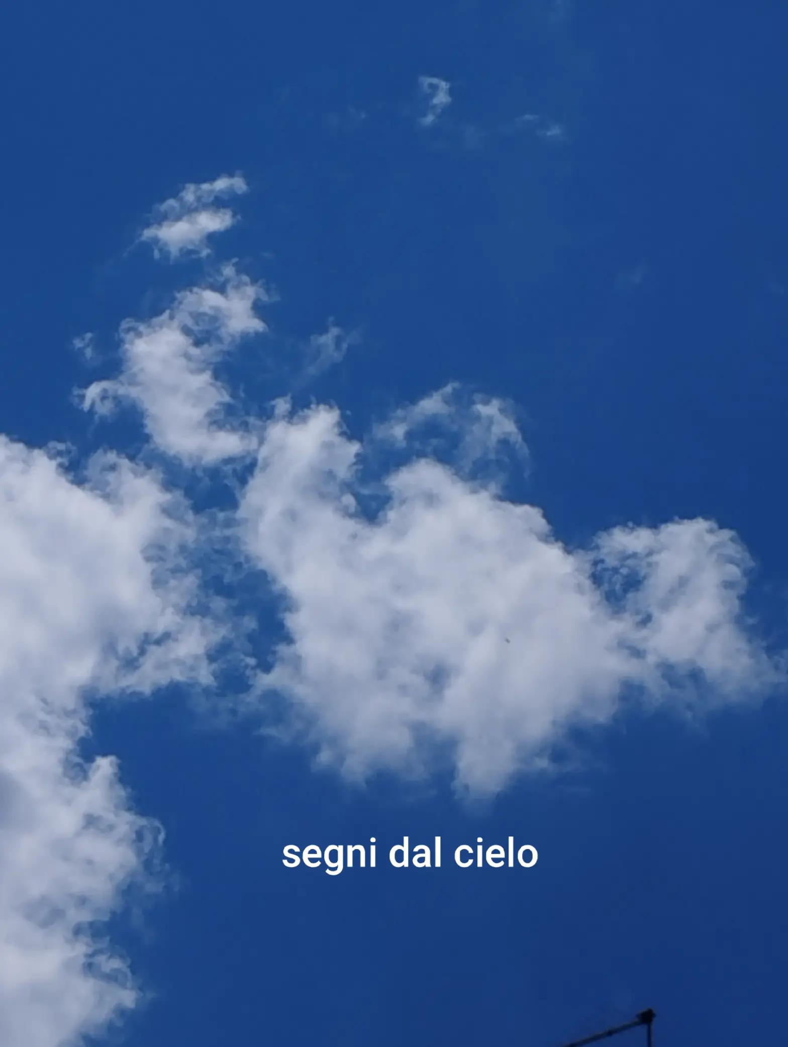 @nino