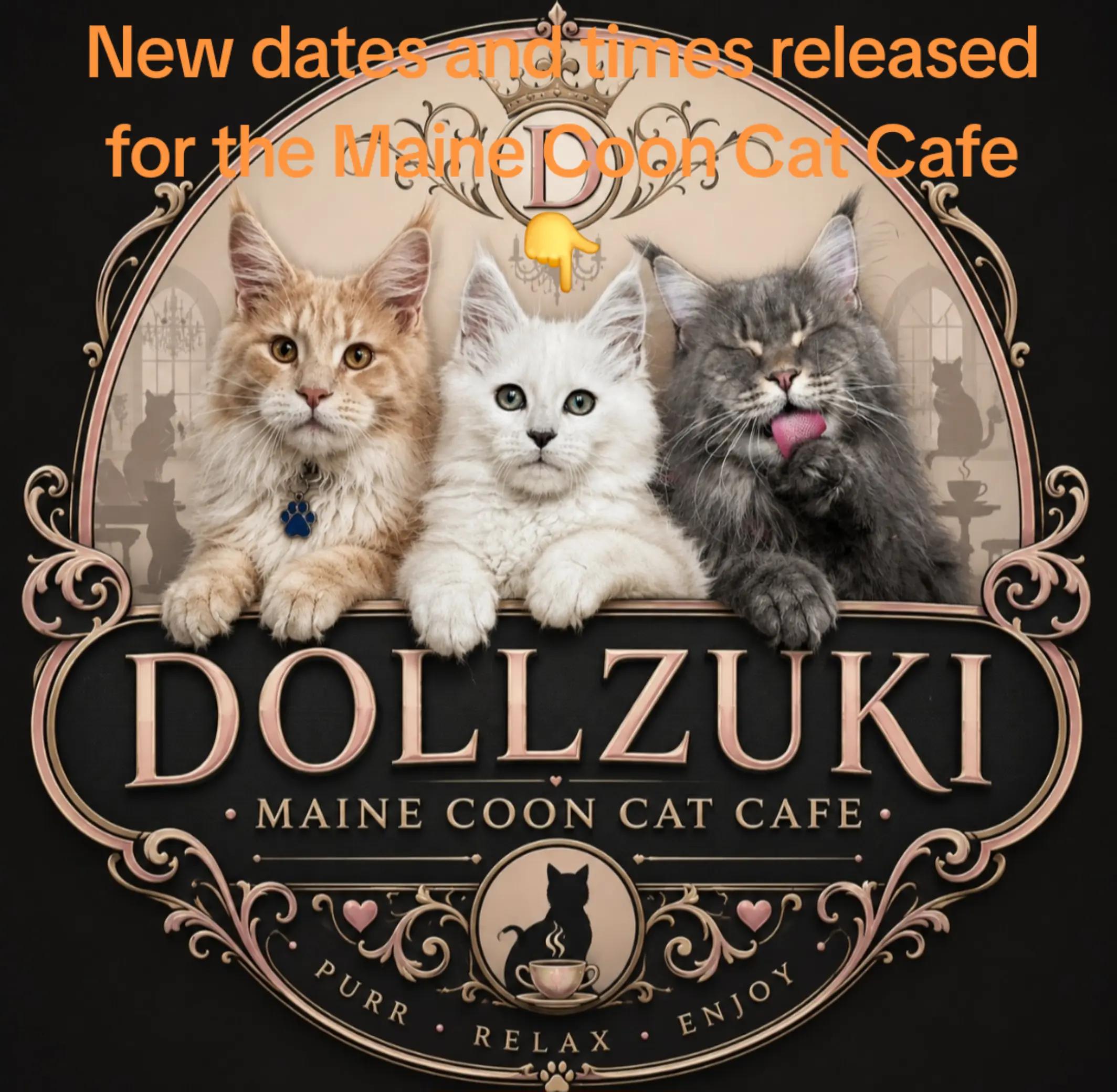 @Dollzuki Maine Coons
