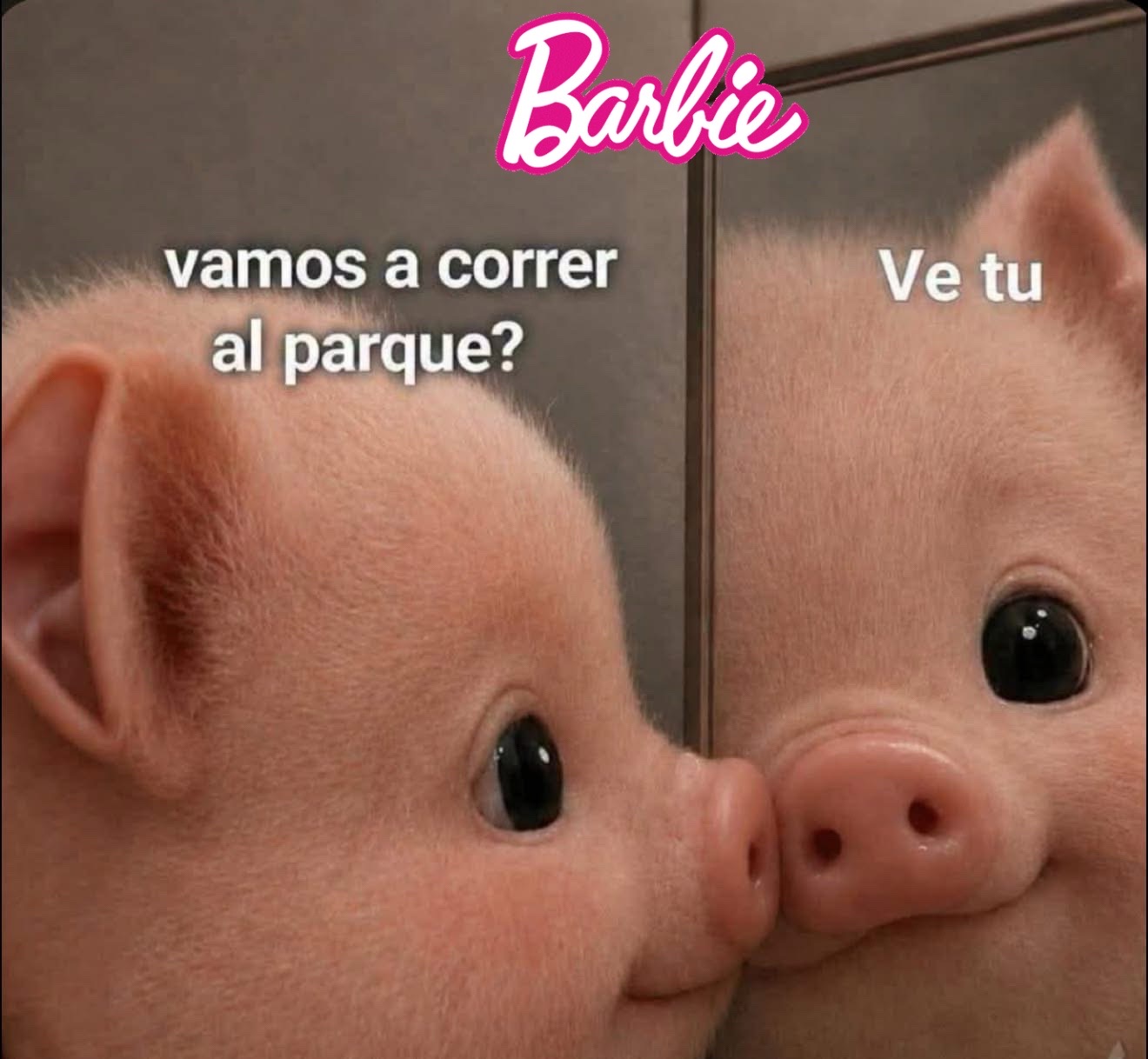 @✨🌙❤️La mera mera BARBIE ❤️🌙✨
