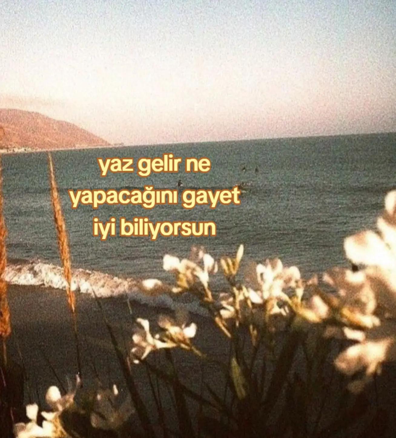 @𝙺𝚘𝚕𝚢𝚊⁶ #BRINGBACKVALKO