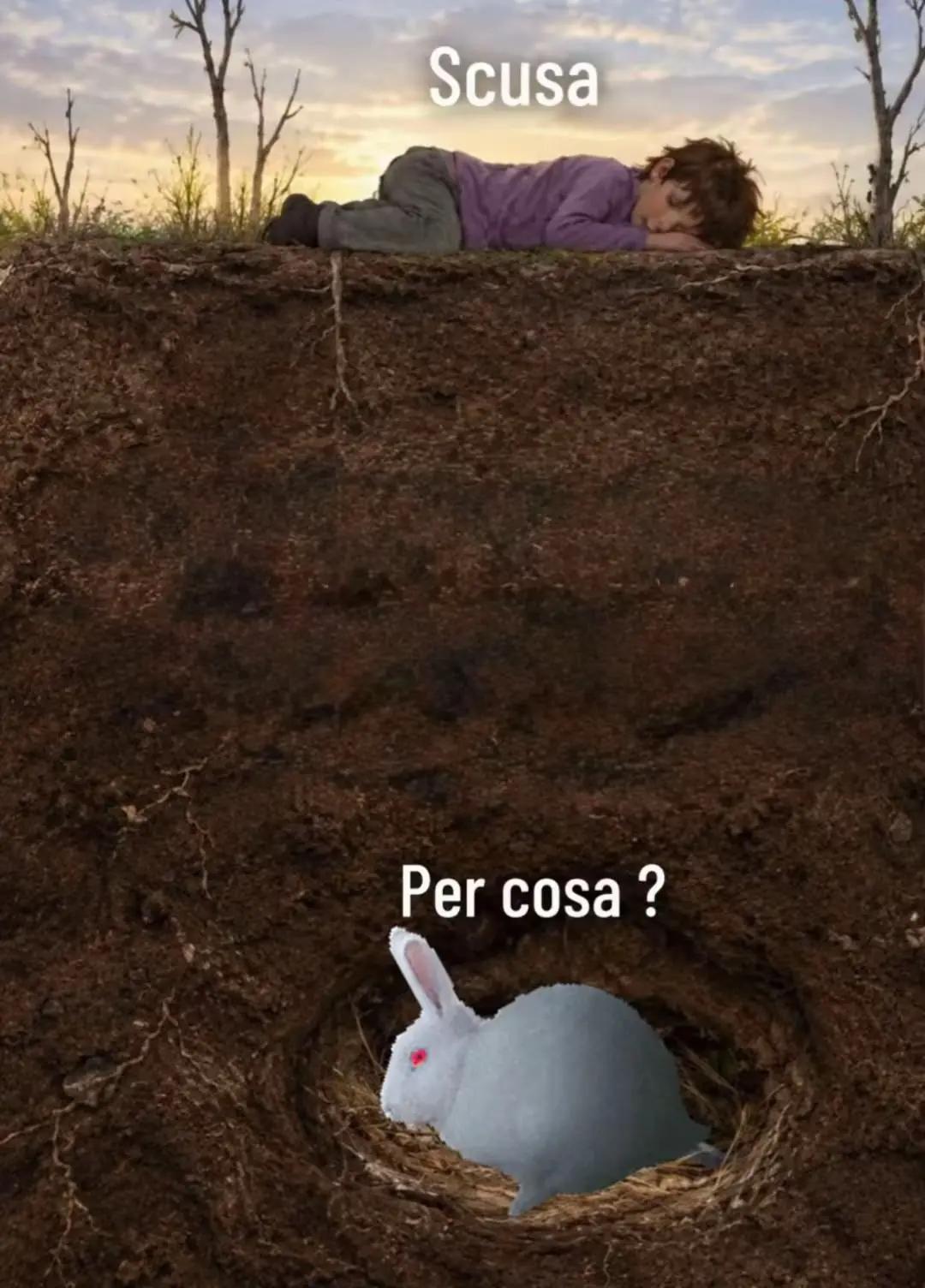 @STRADO e Melania❣️💍🔗