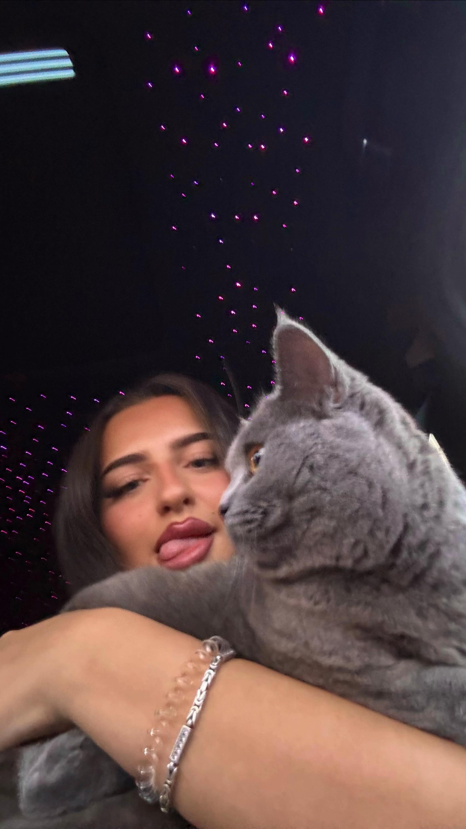 @𝒮
