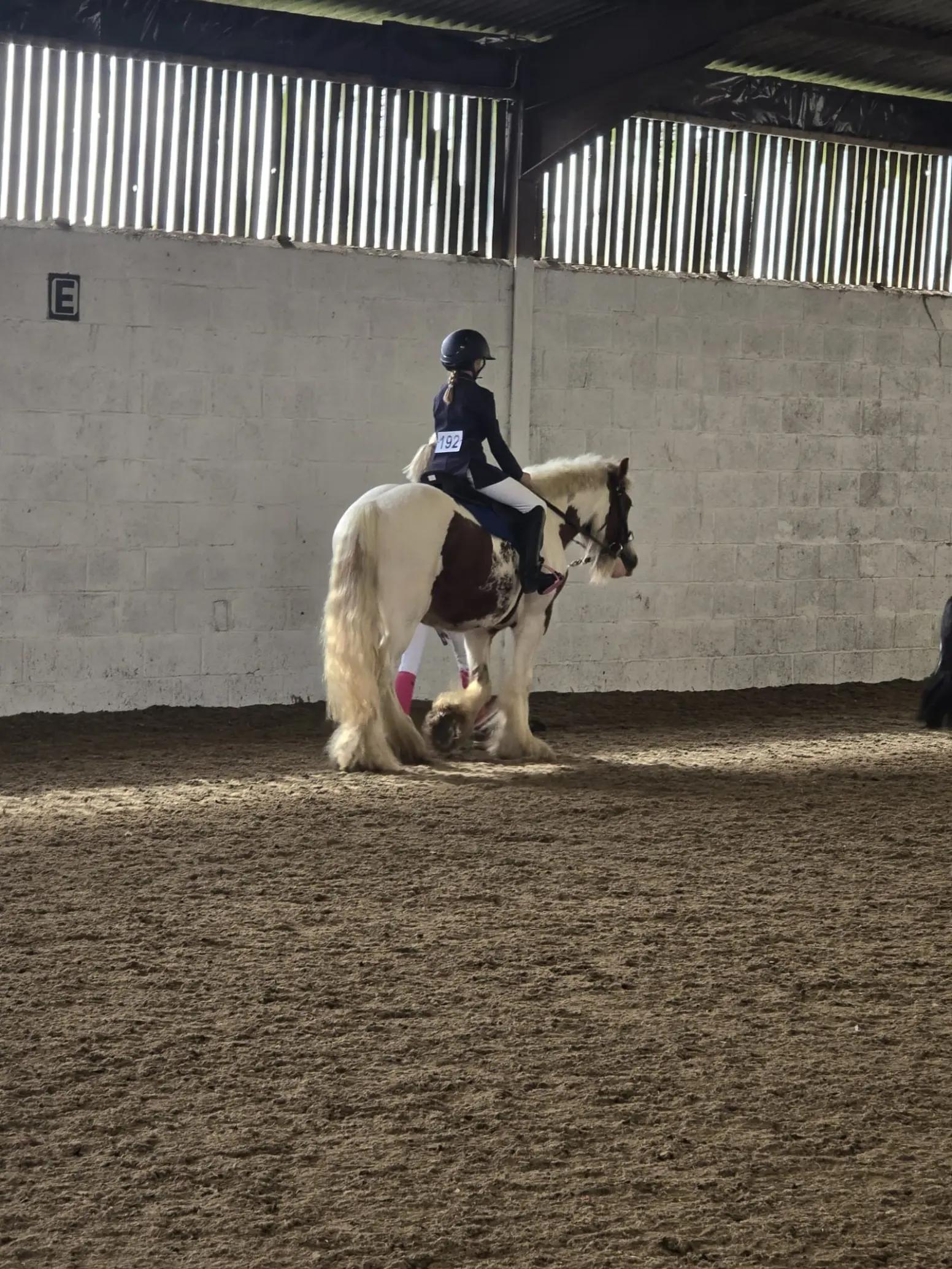 @🐎🩷Alexa and bobby 🩷🐴