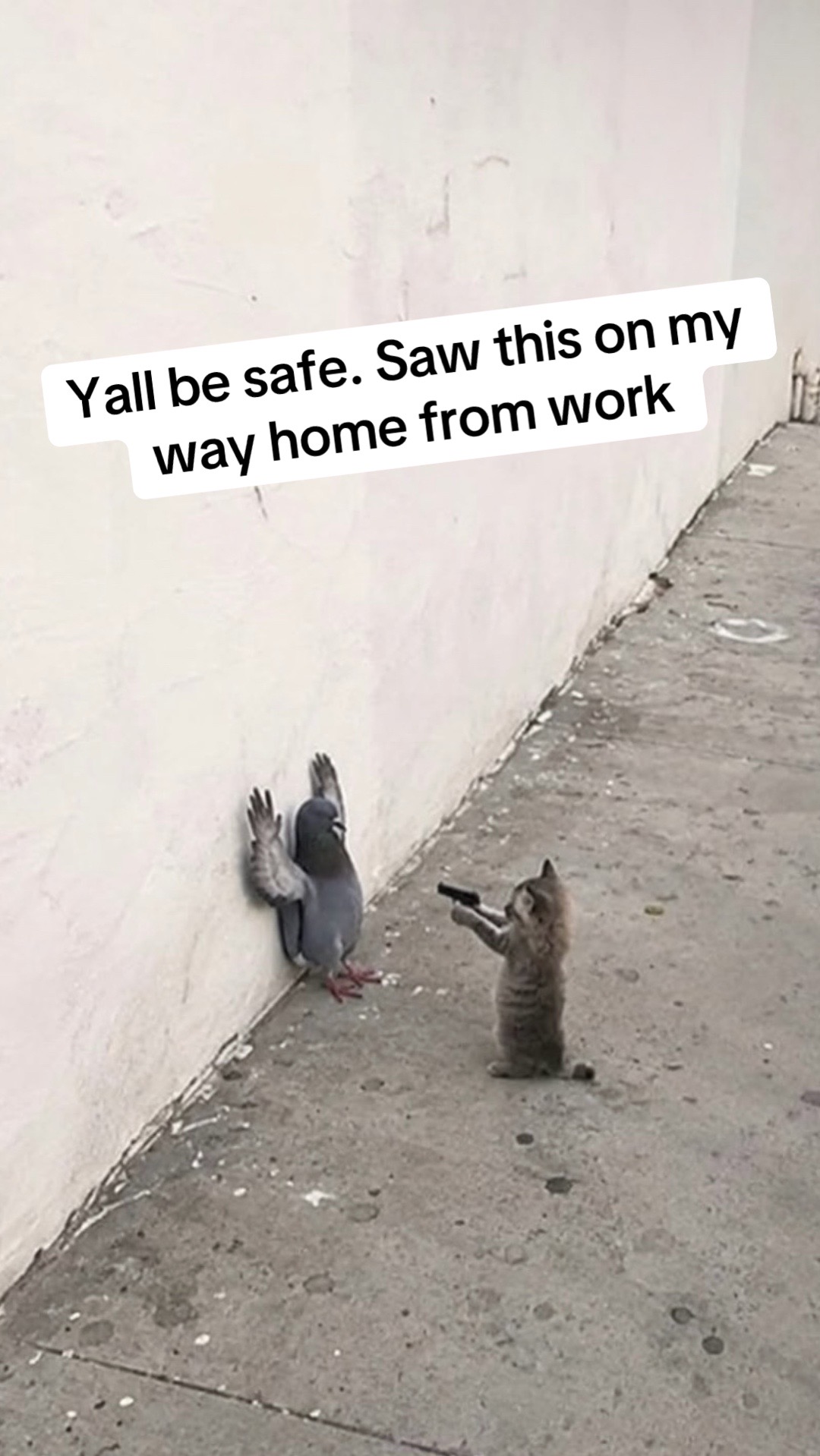@Kusher
